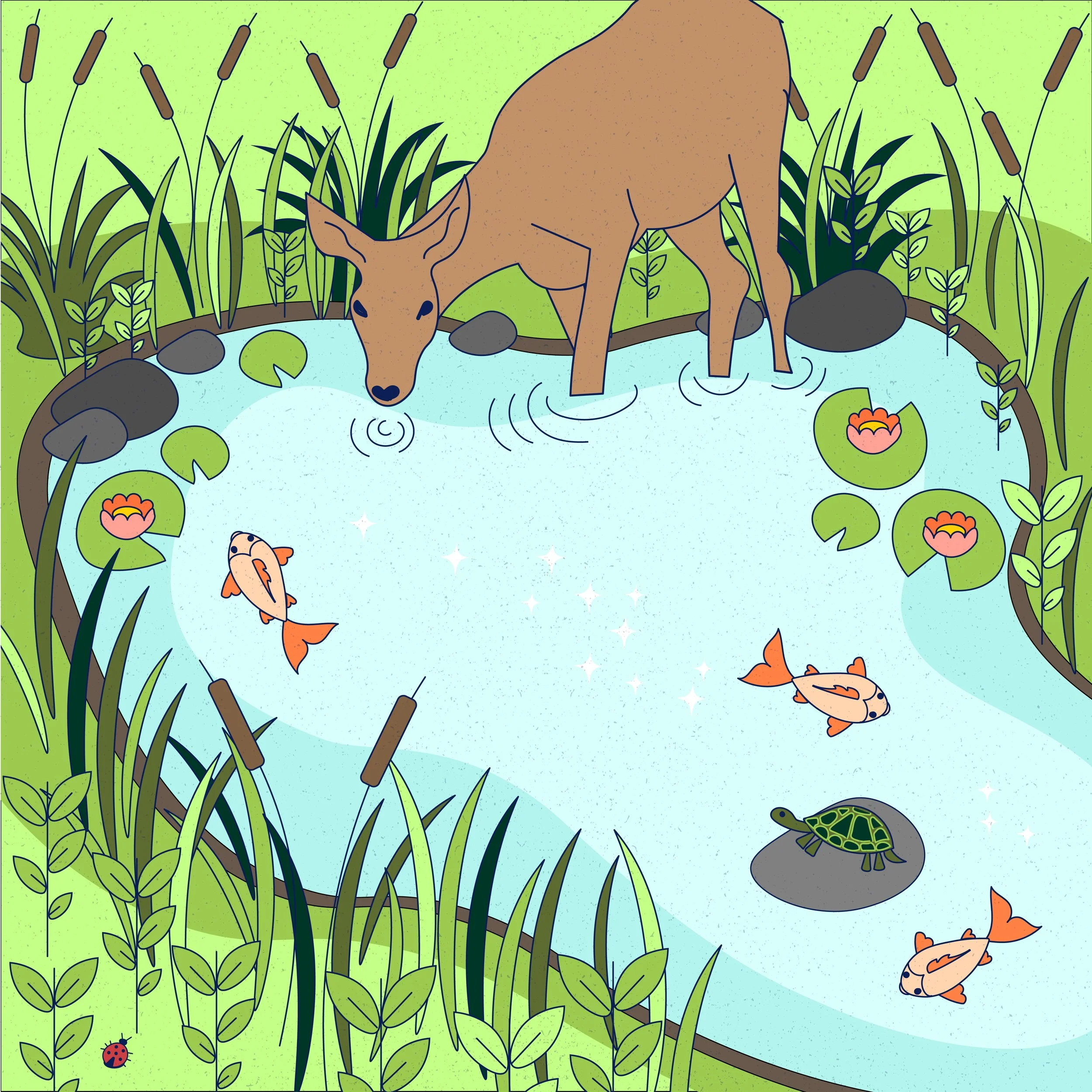 Illustrations-04.jpg