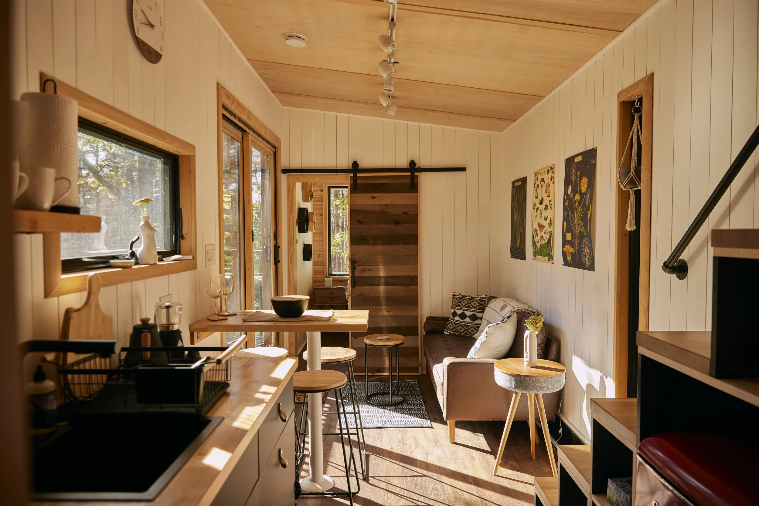 Modern wooden cabin with dark accents in a forest setting