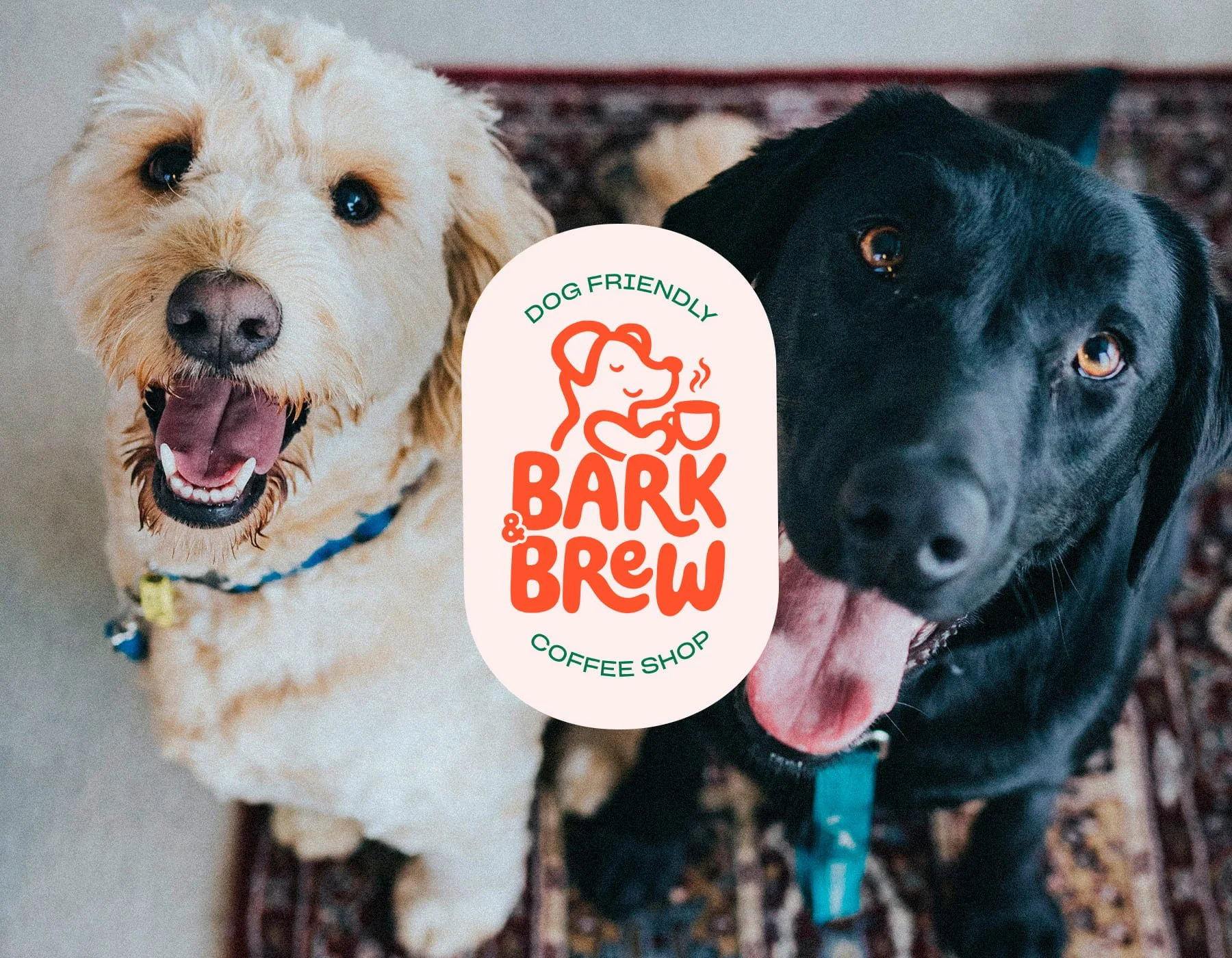couverture-behance-bark&brew.jpg