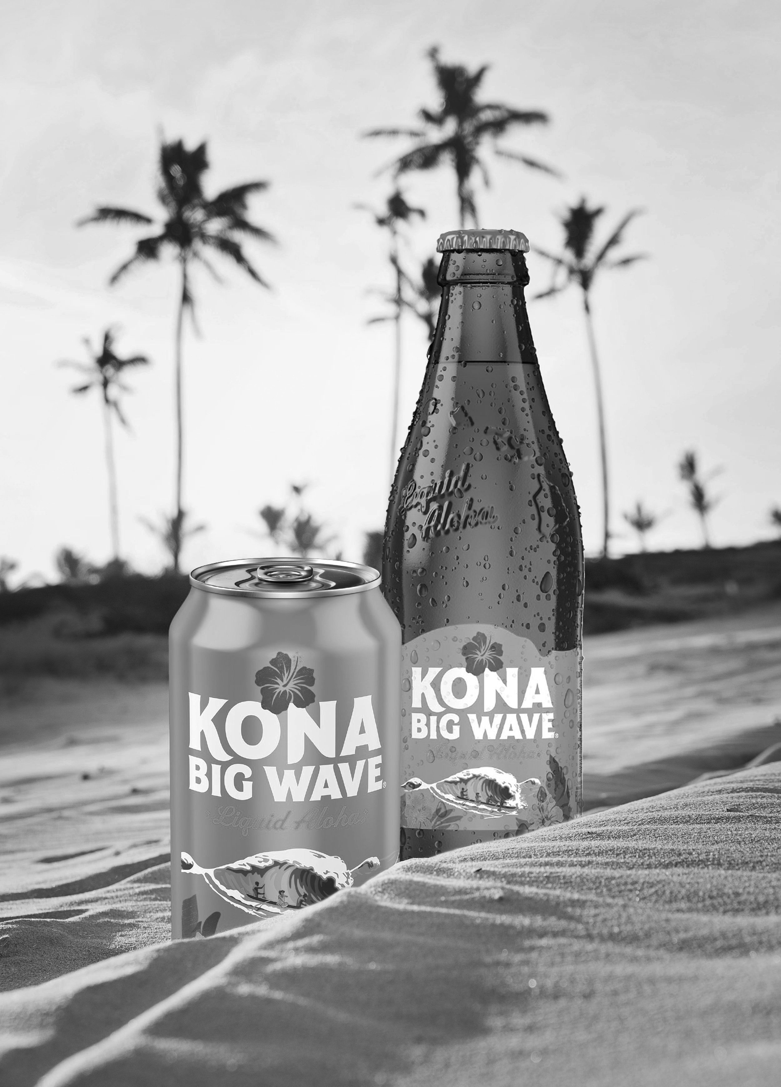 kona+big+wave+bandd.jpg