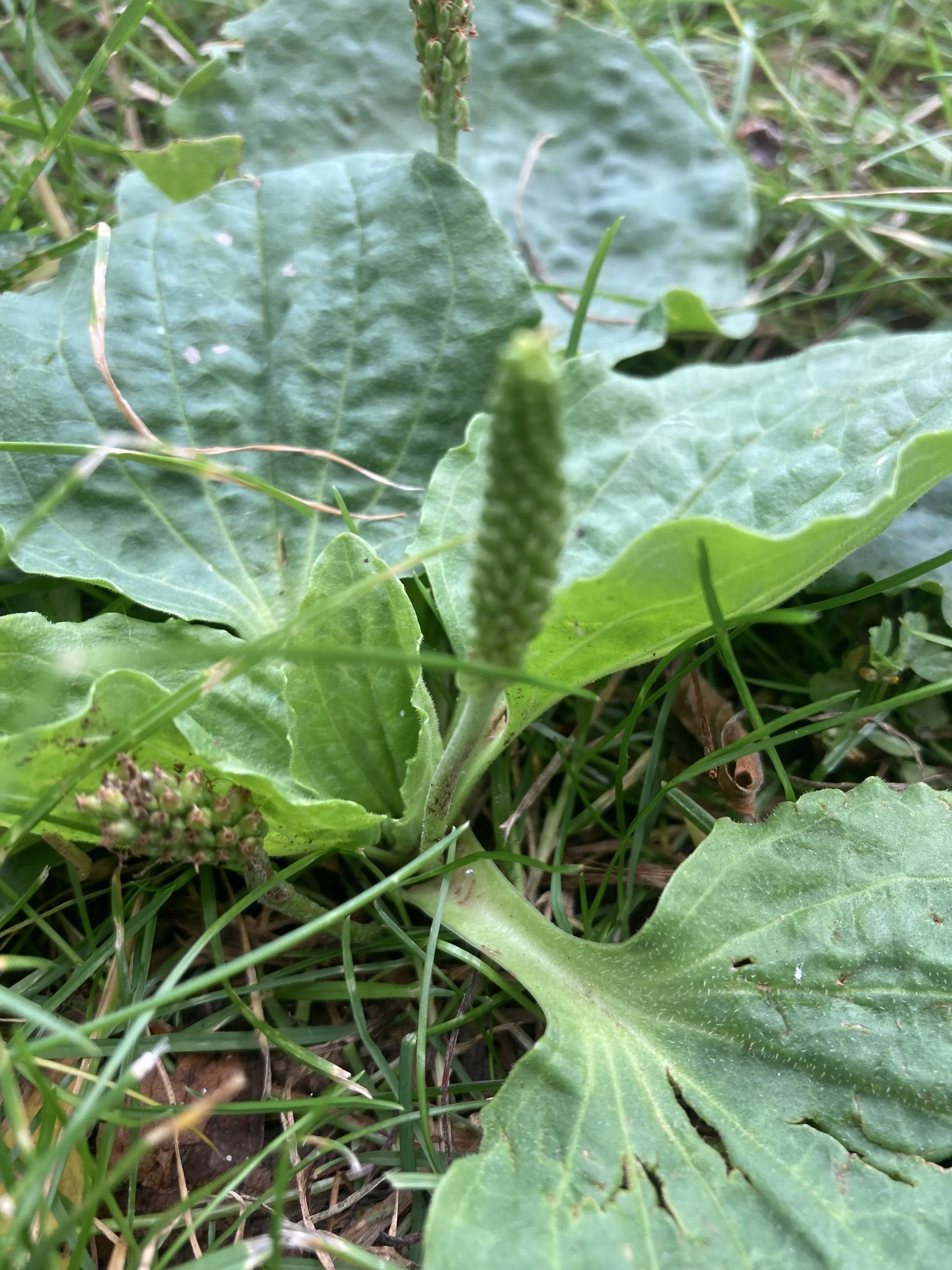 2024-07-05 15.01.12.jpg