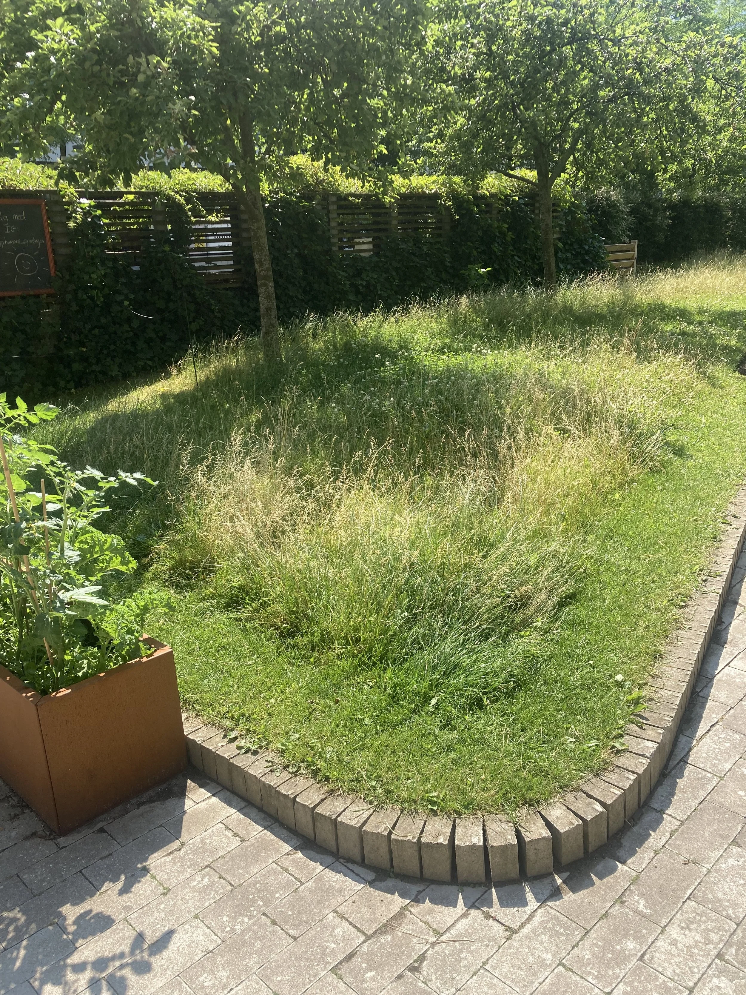 2024-06-28 15.14.02.jpg