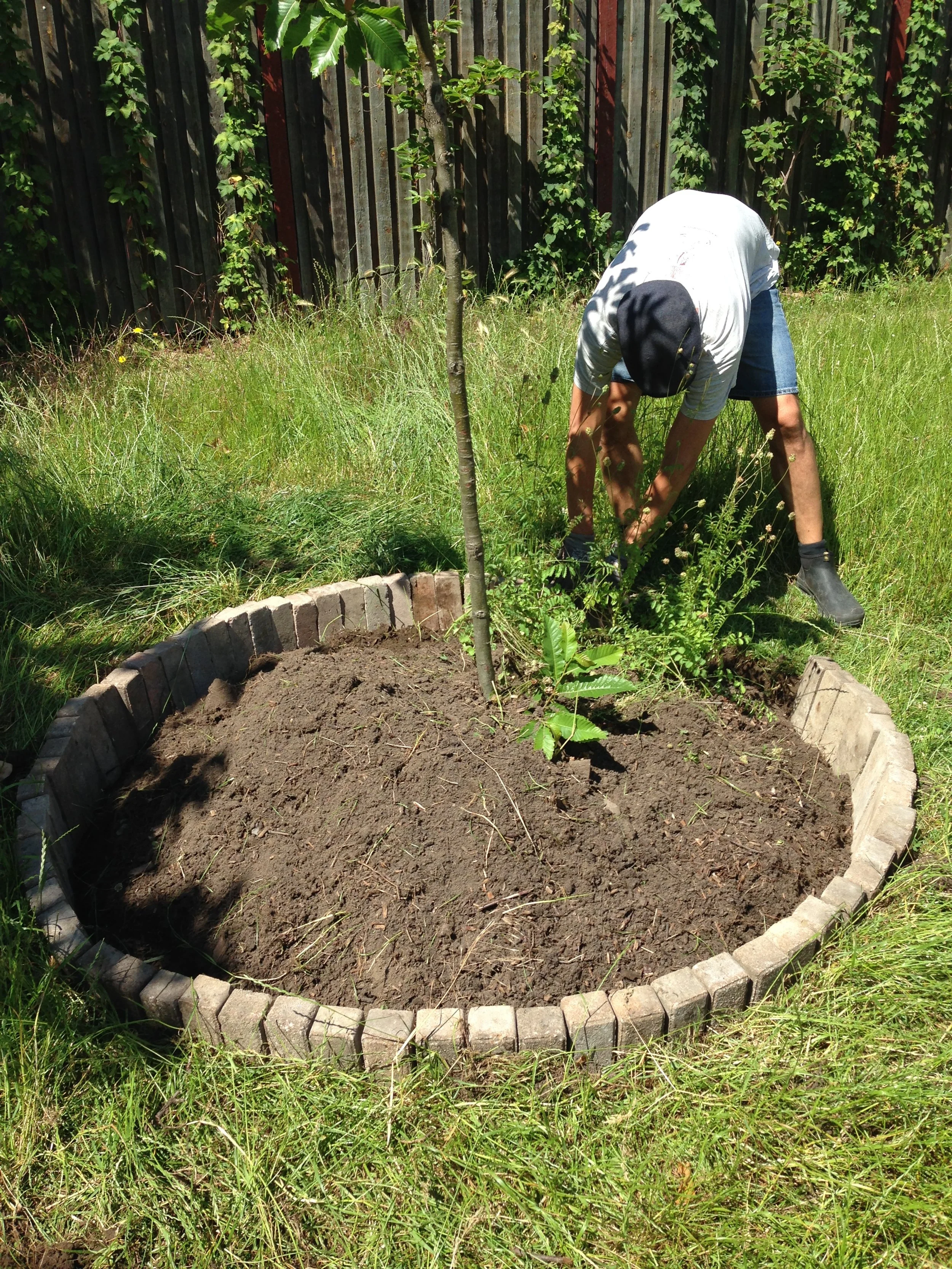 2020-06-22 13.49.00.jpg