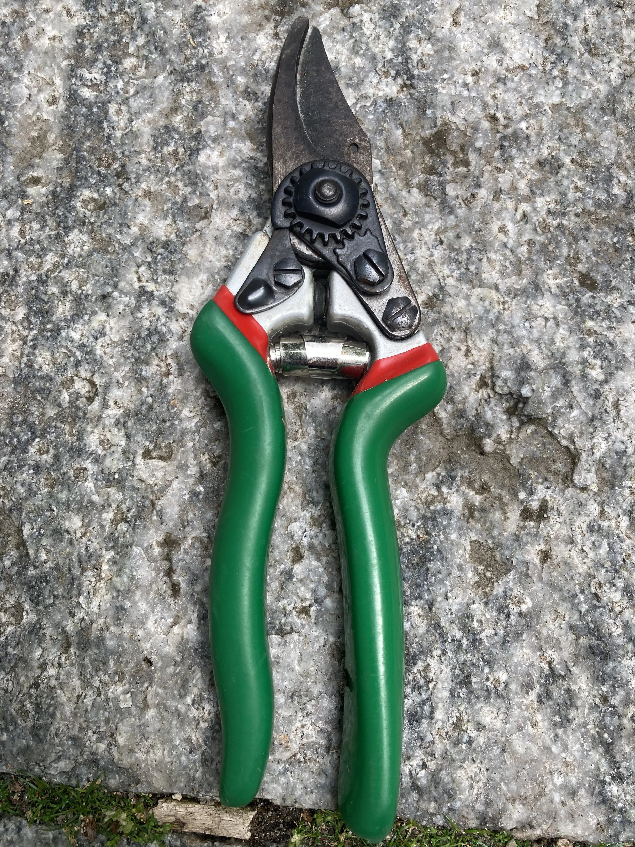 2024-07-05 13.36.48.jpg