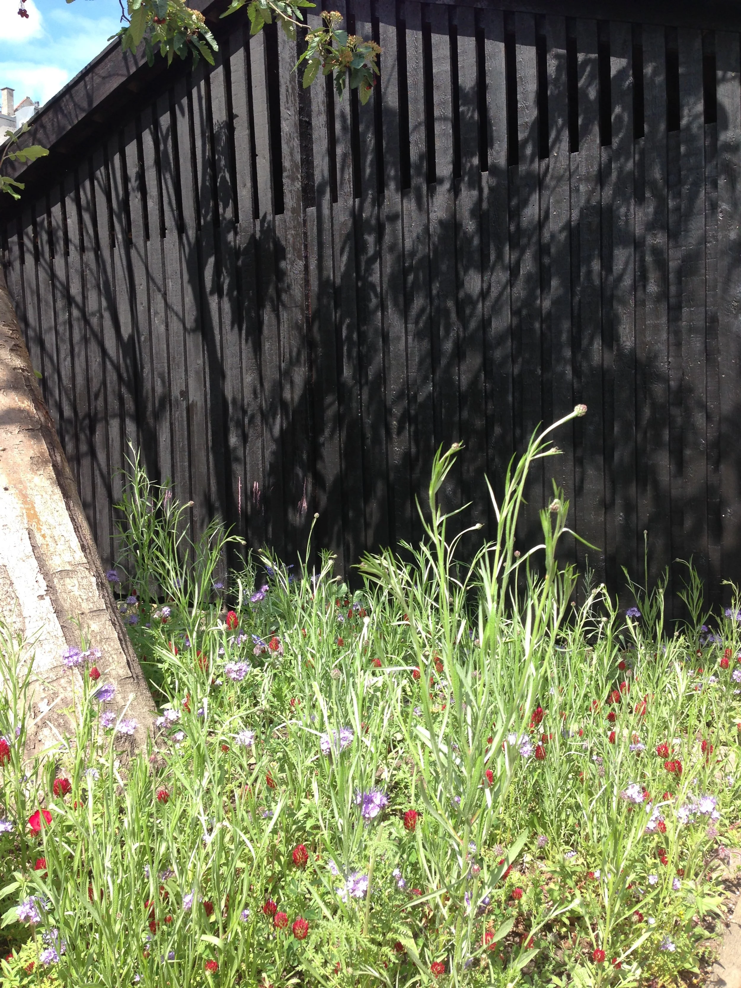 2020-05-25 14.28.03.jpg