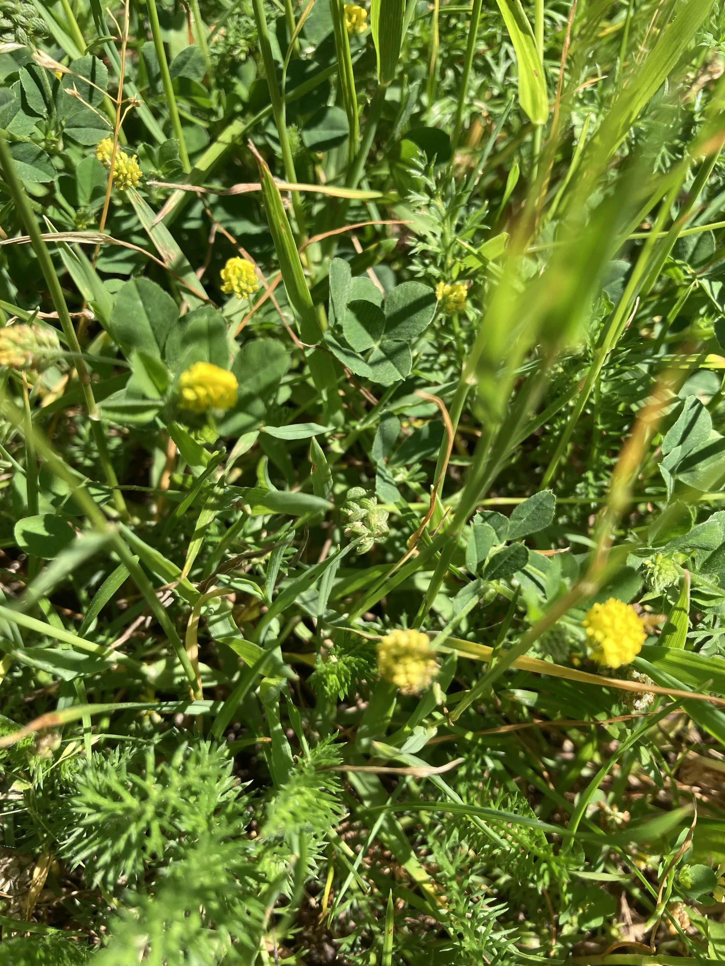 2024-06-25 12.47.44.jpg