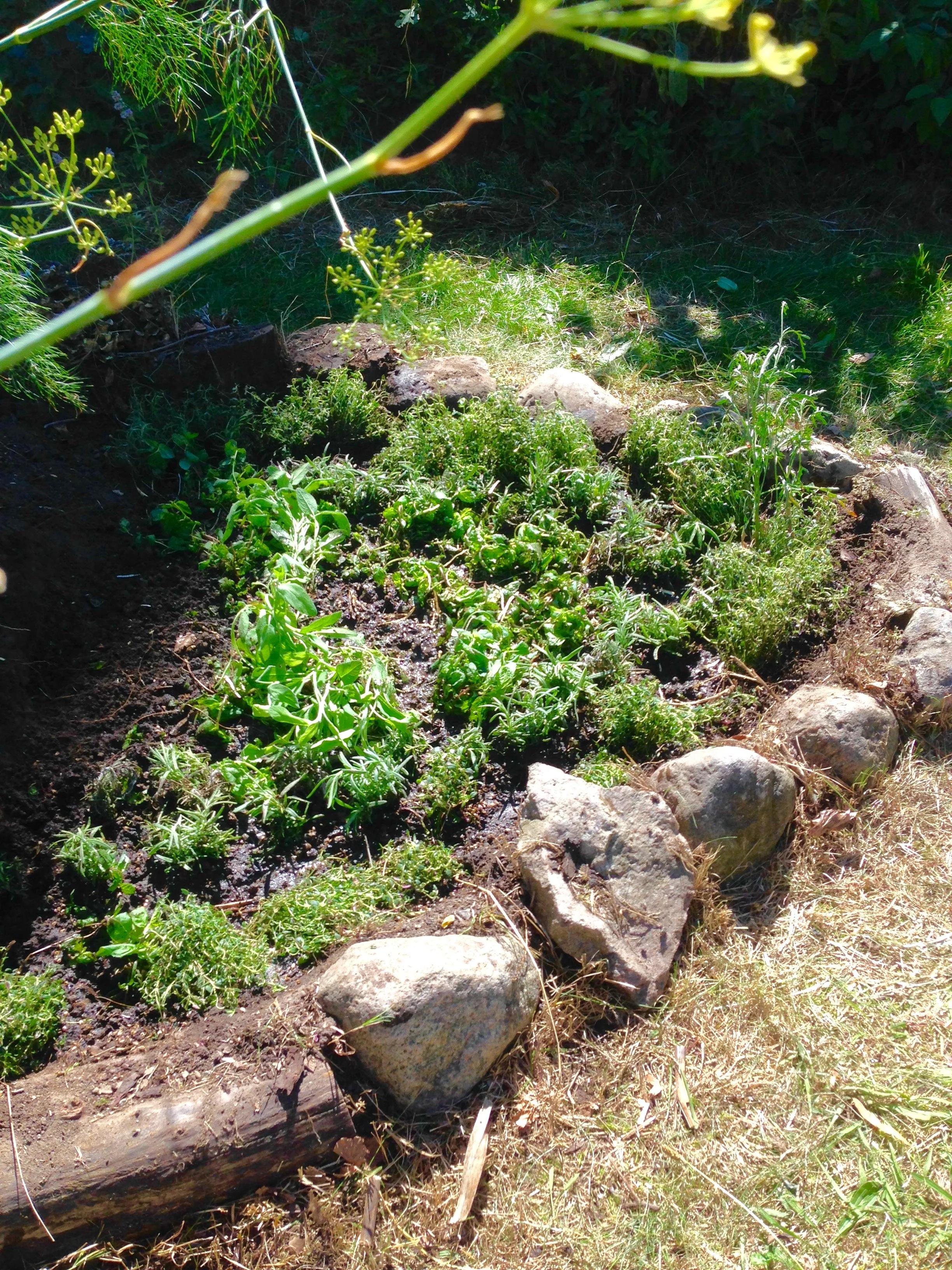 2020-08-14 12.41.00.jpg