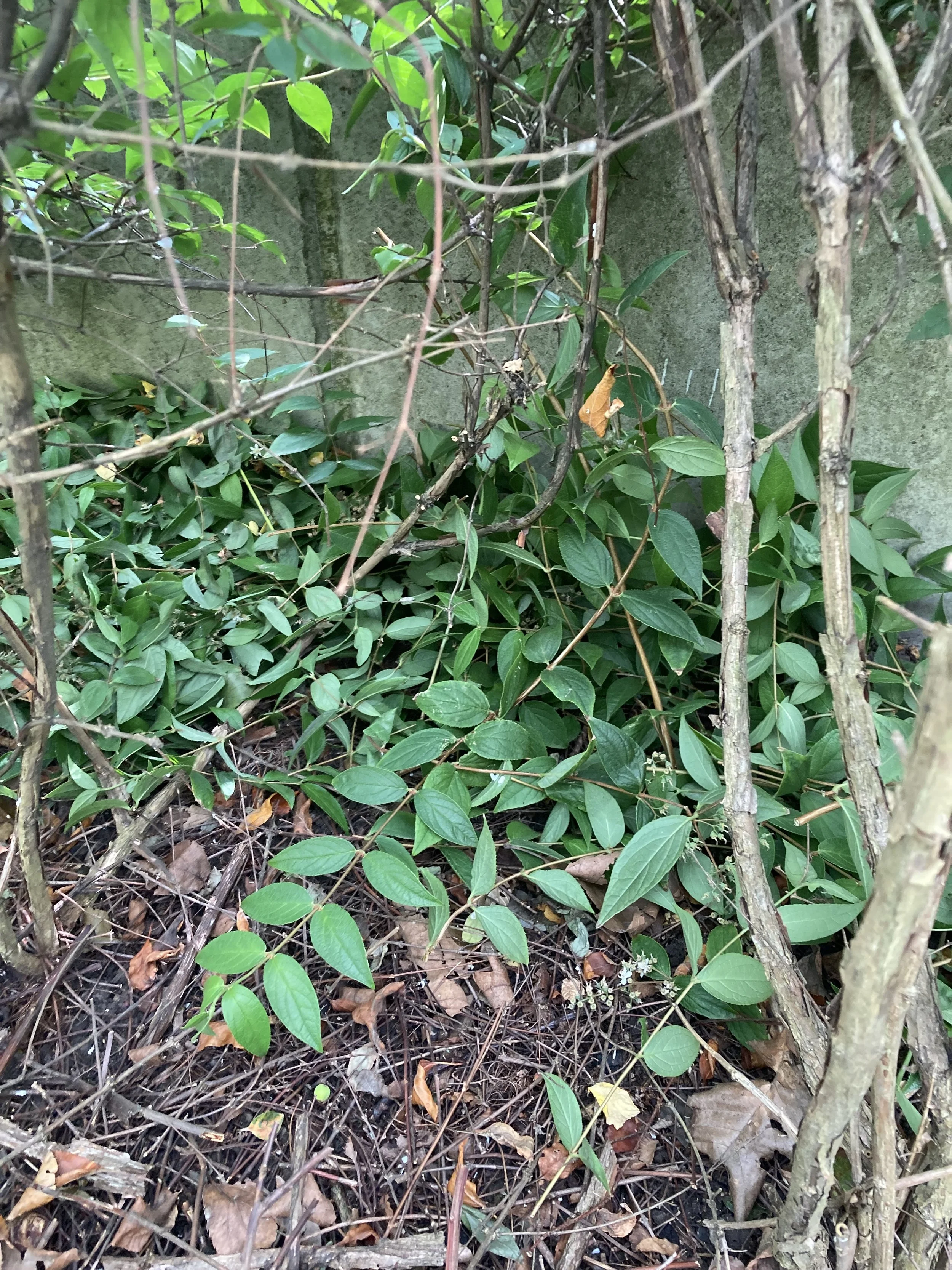 2024-07-05 14.51.07.jpg