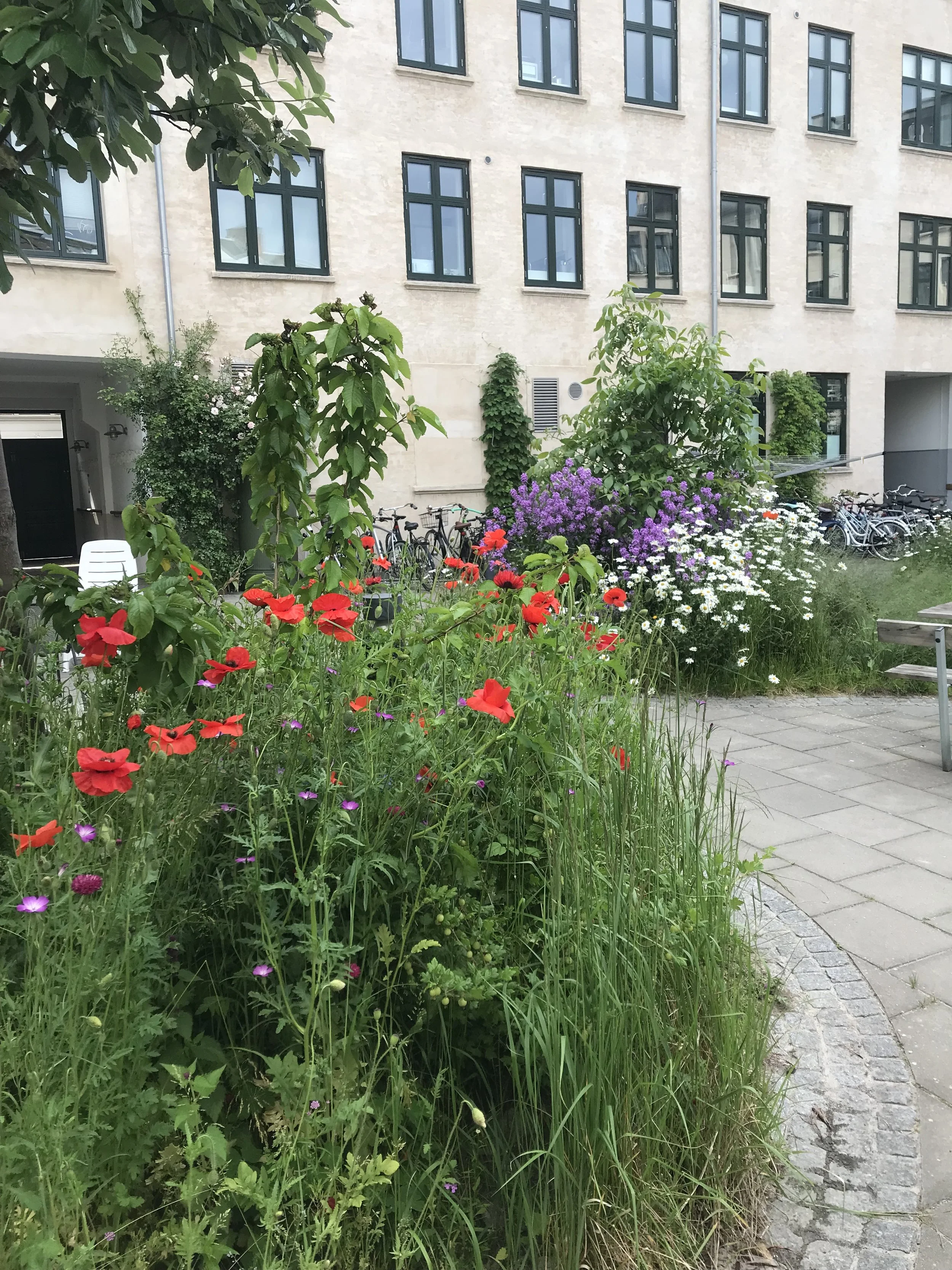 2022-06-09 09.19.08.jpg