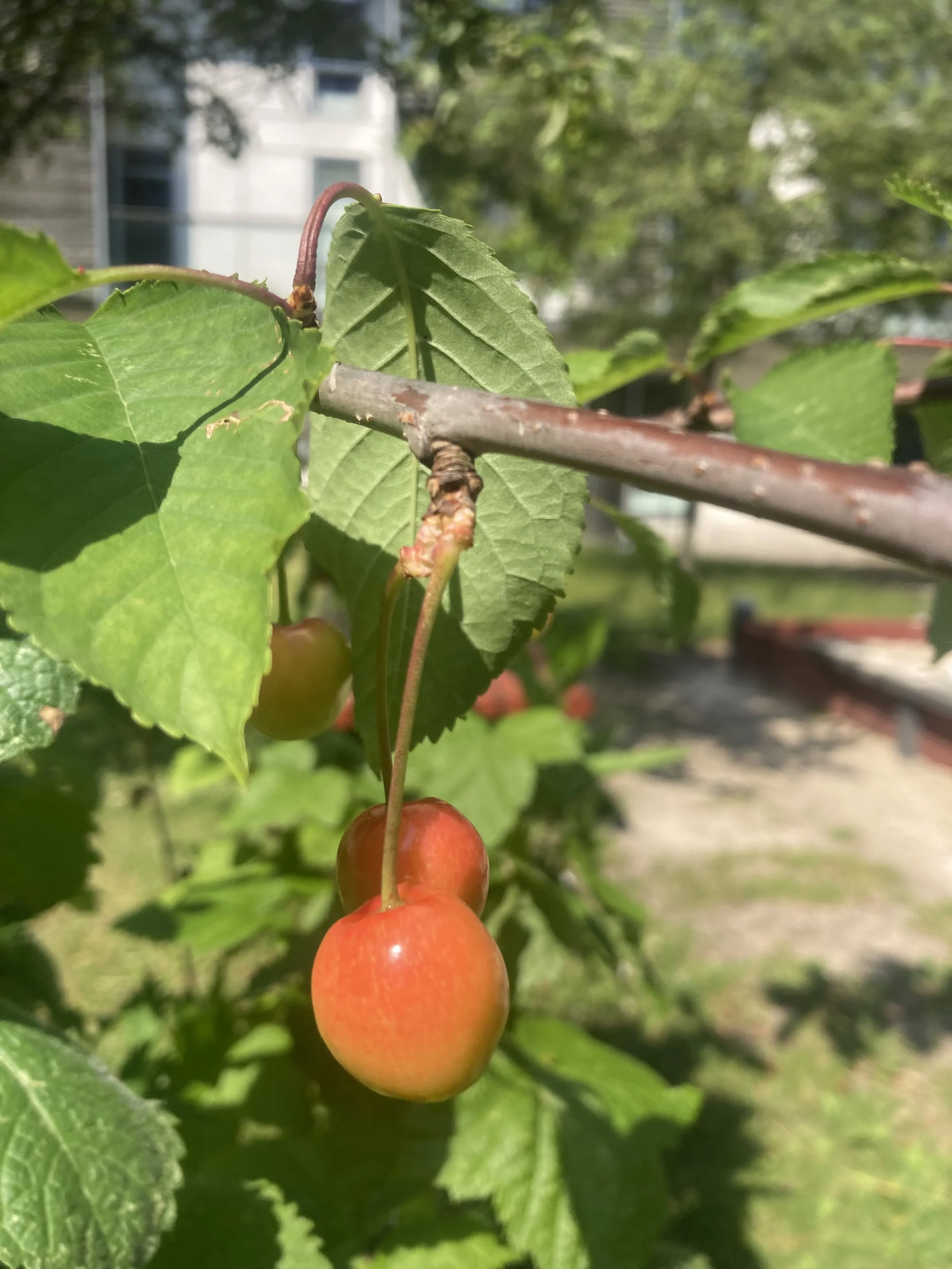 2024-06-28 15.14.38.jpg