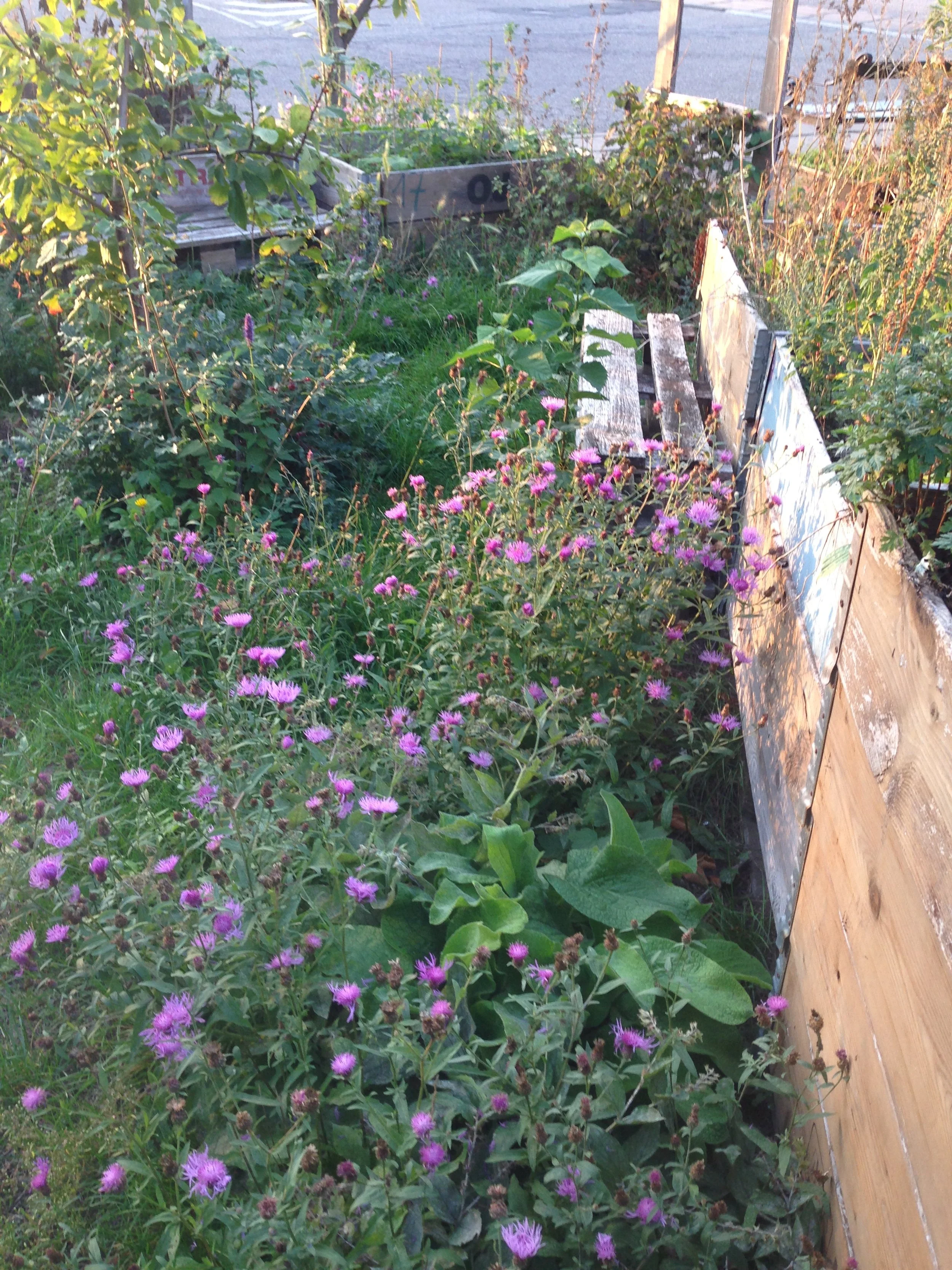 2020-09-22 18.24.08.jpg