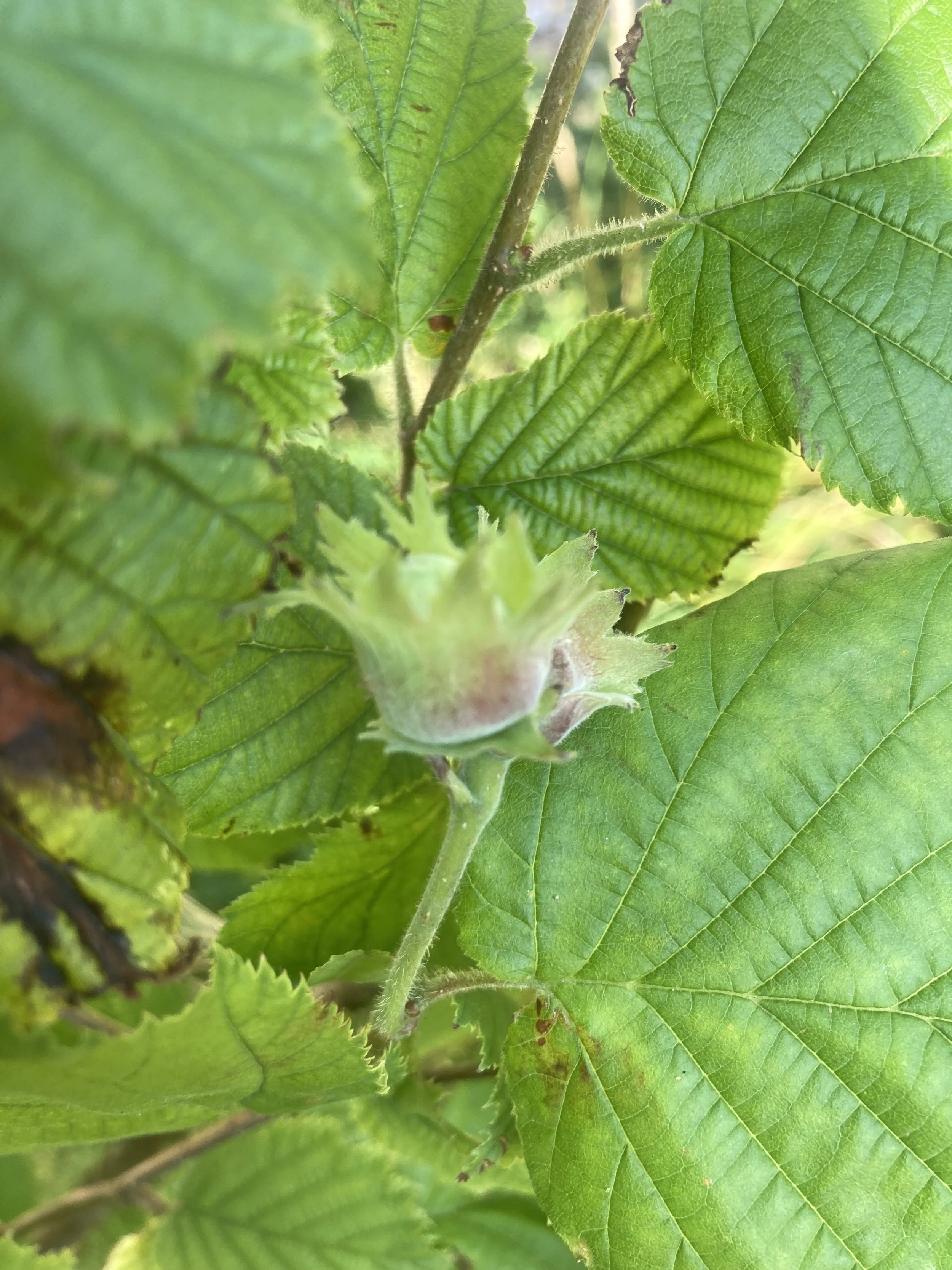 2024-06-28 15.17.50.jpg