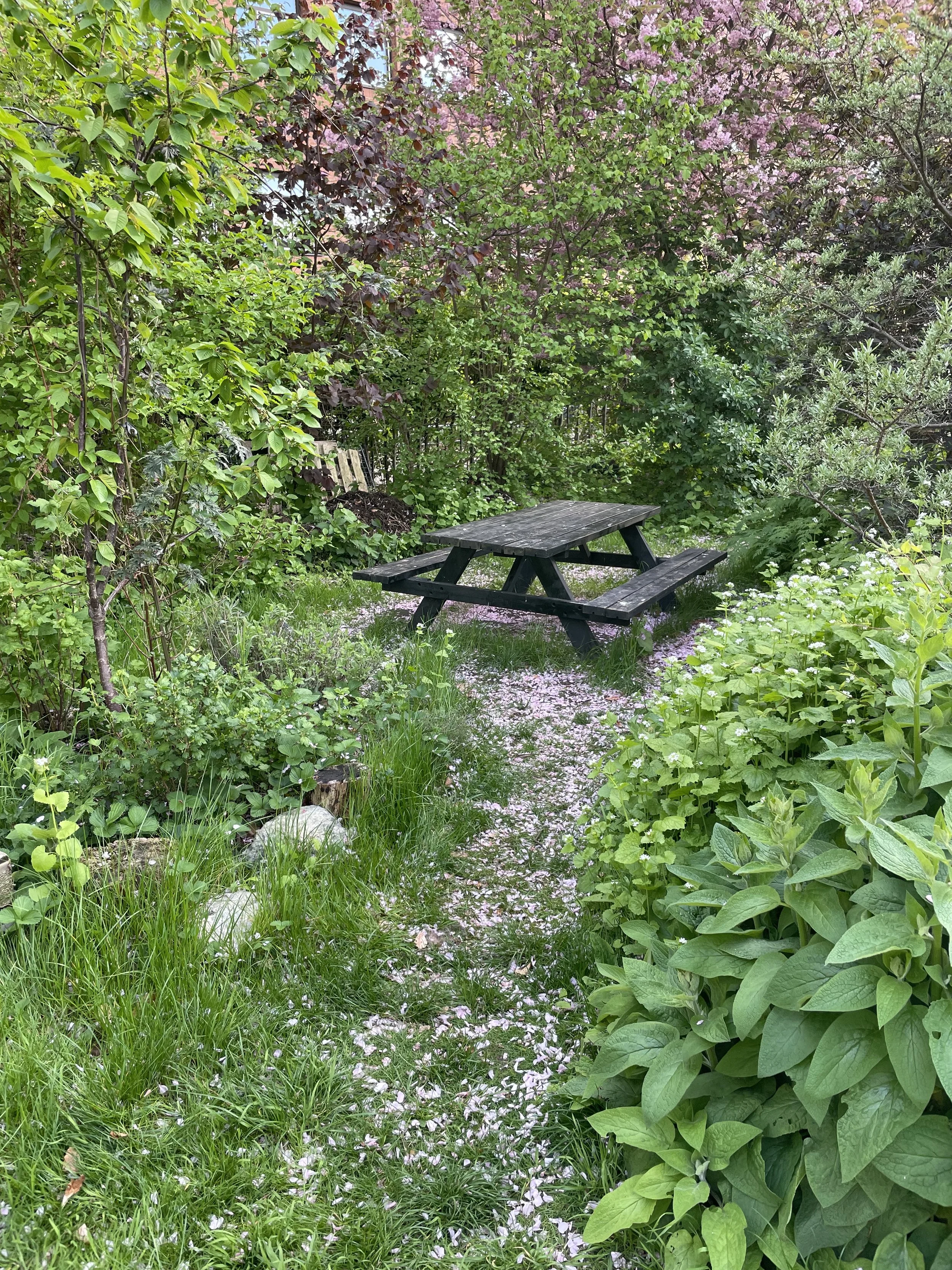 2025-05-04 19.26.46.jpg