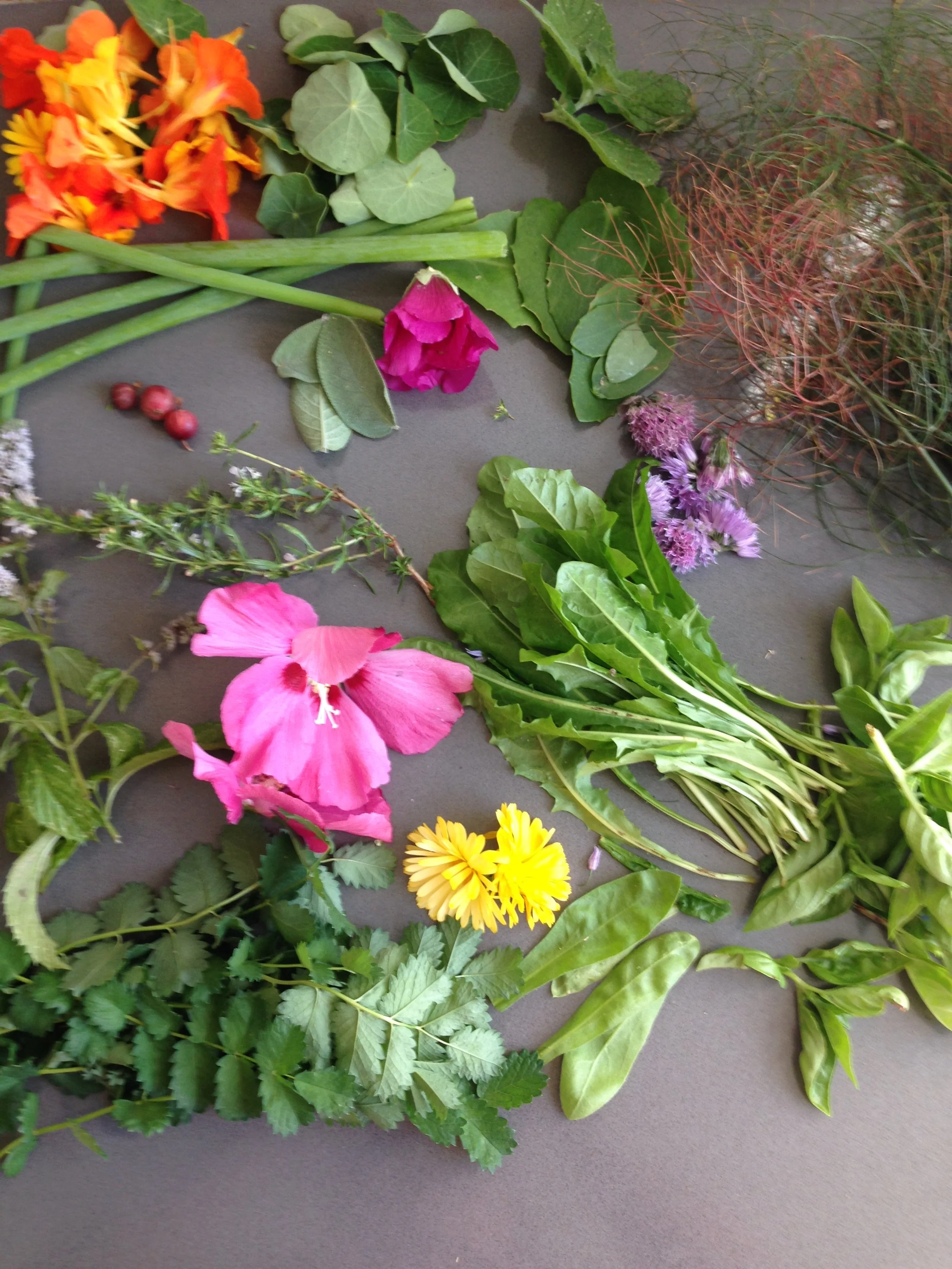 2020-08-07 17.14.30.jpg