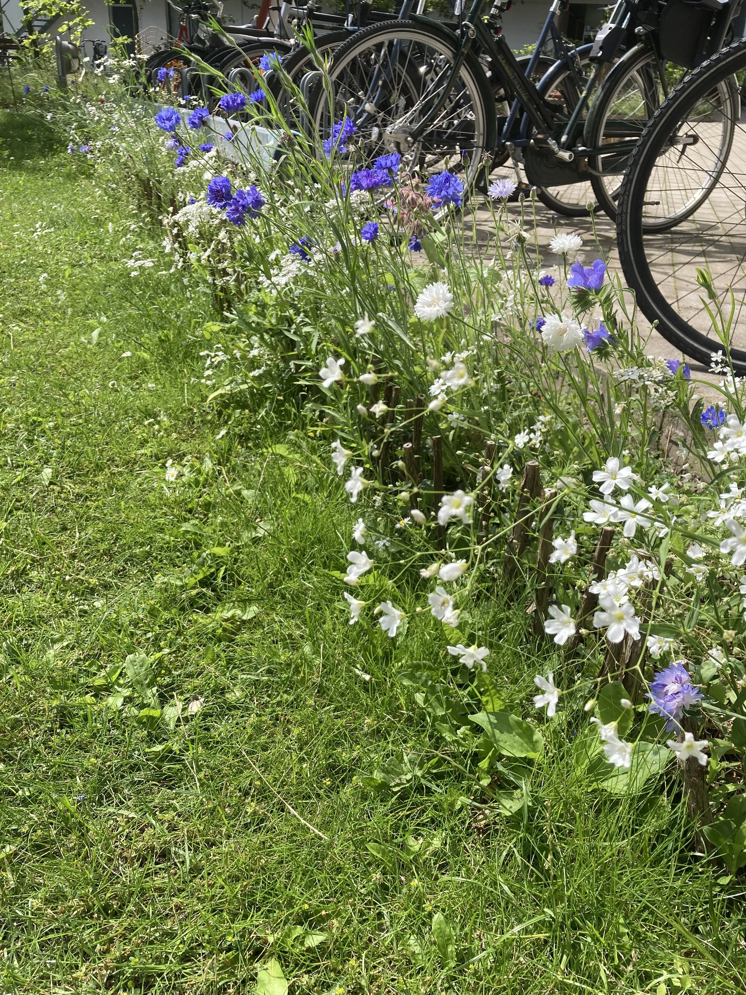 2024-07-05 14.50.21.jpg