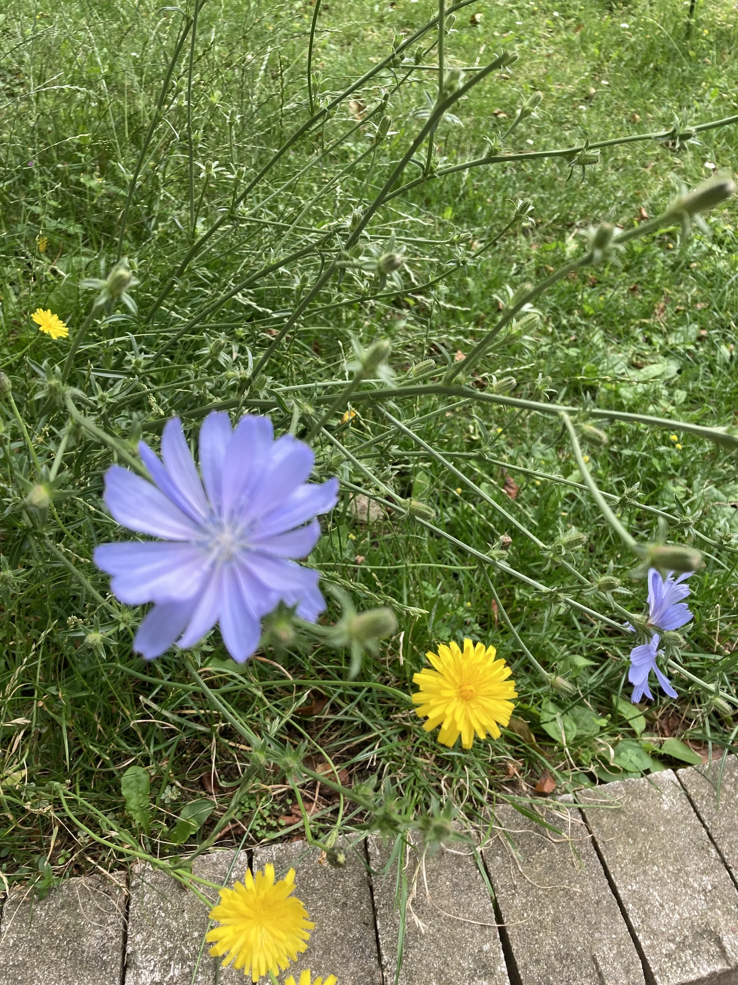 2024-07-09 15.07.35.jpg