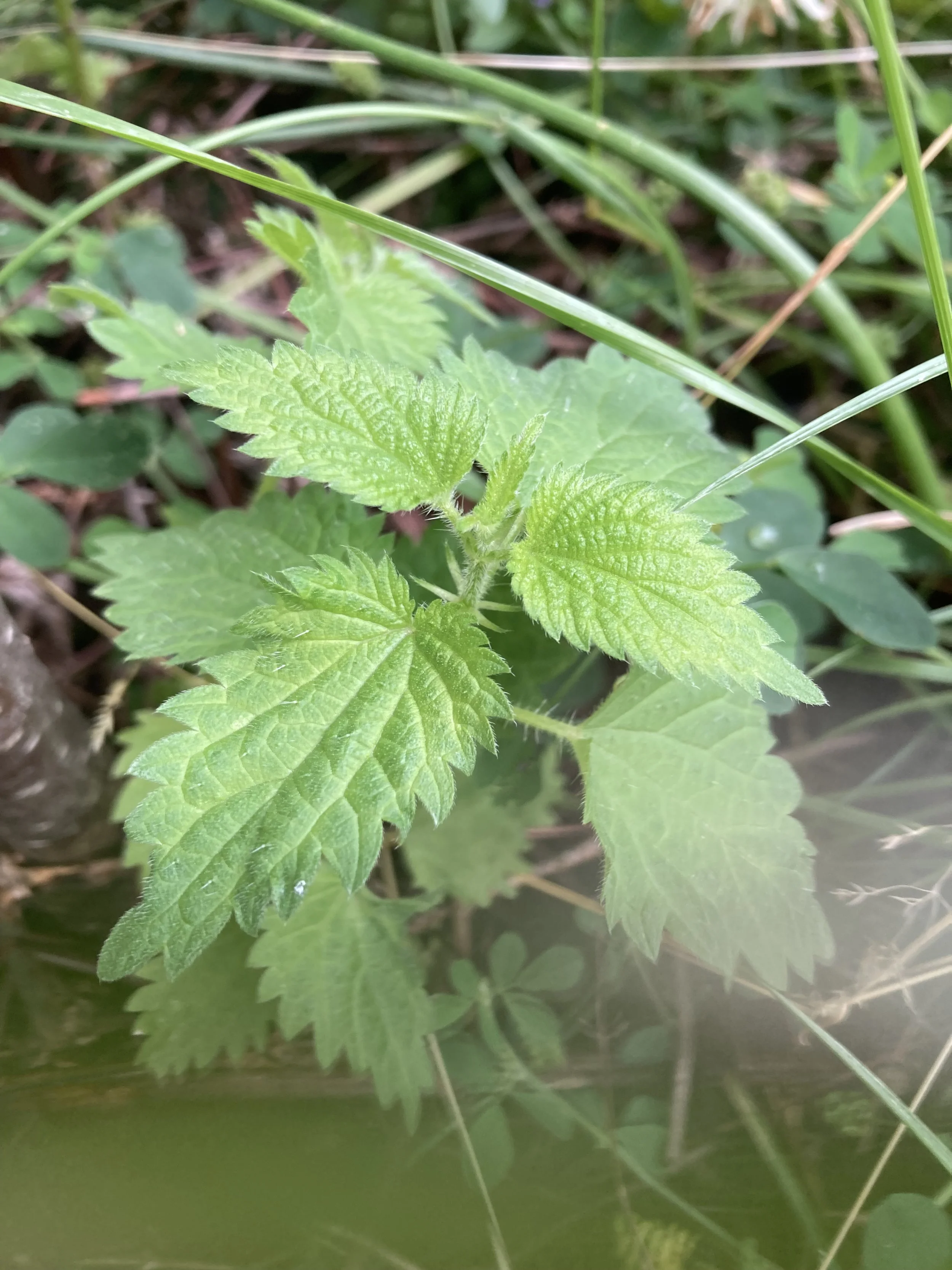 2024-07-05 15.01.59.jpg