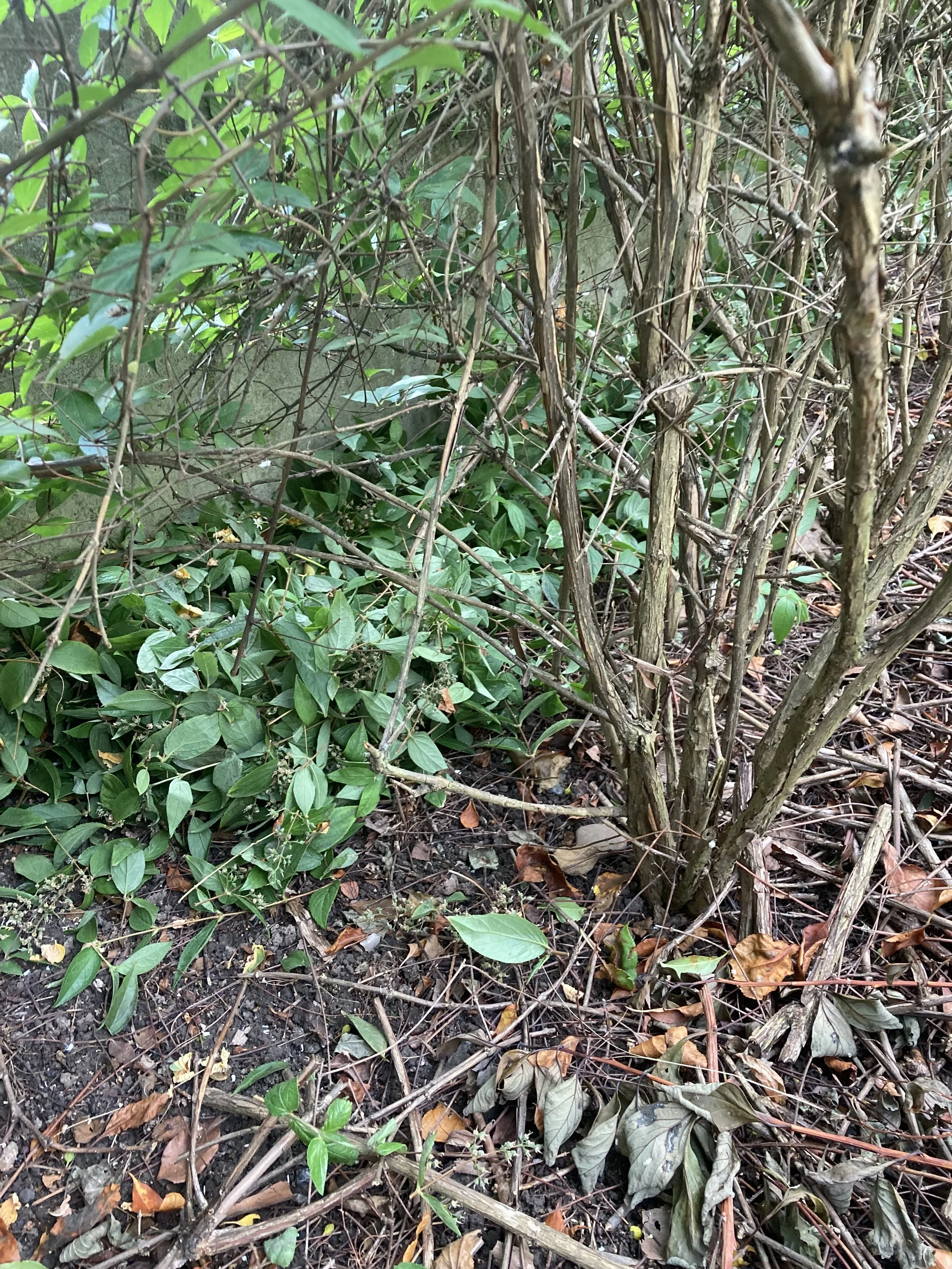 2024-07-05 14.51.22.jpg