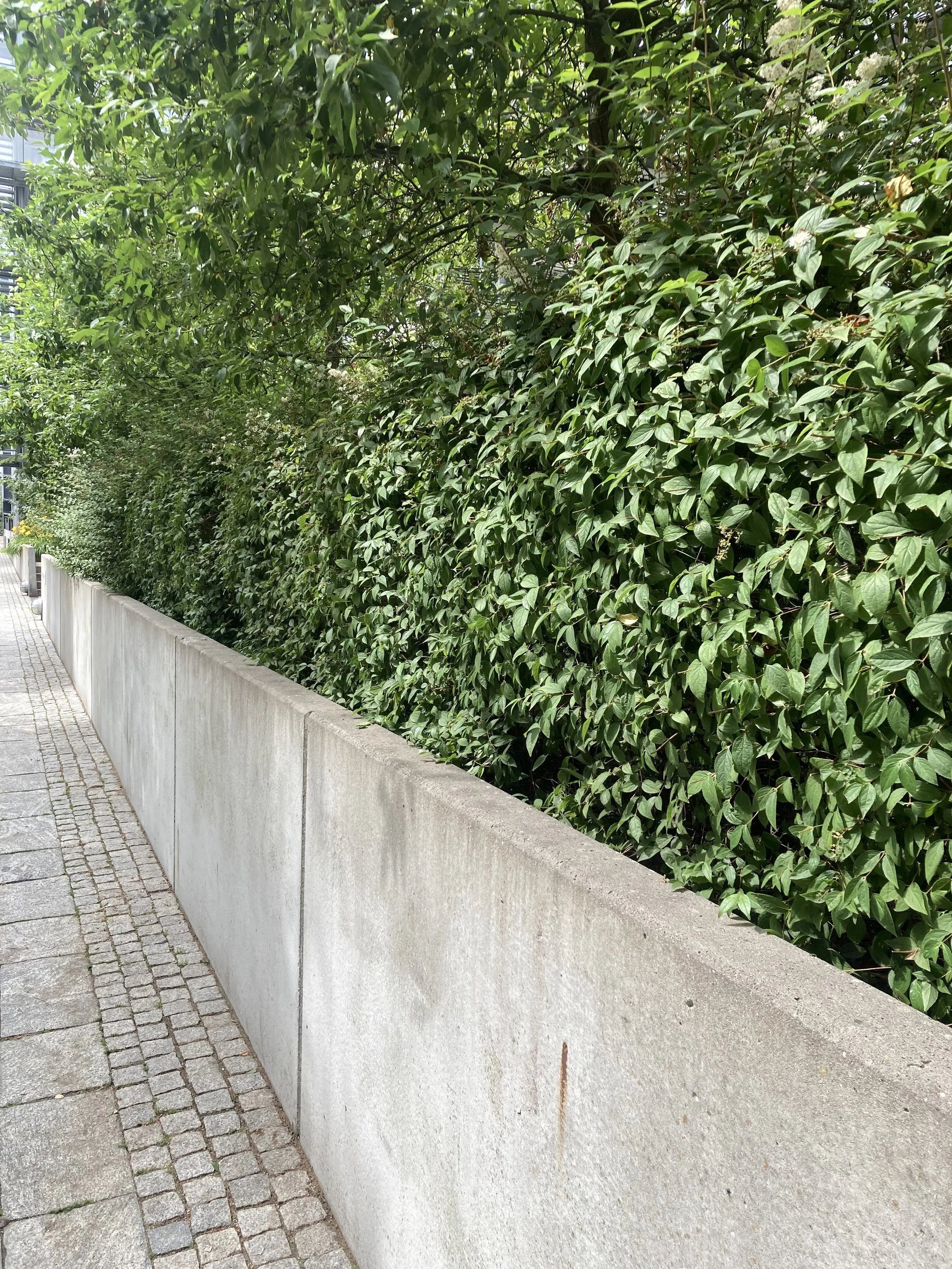 2024-07-05 14.48.01.jpg