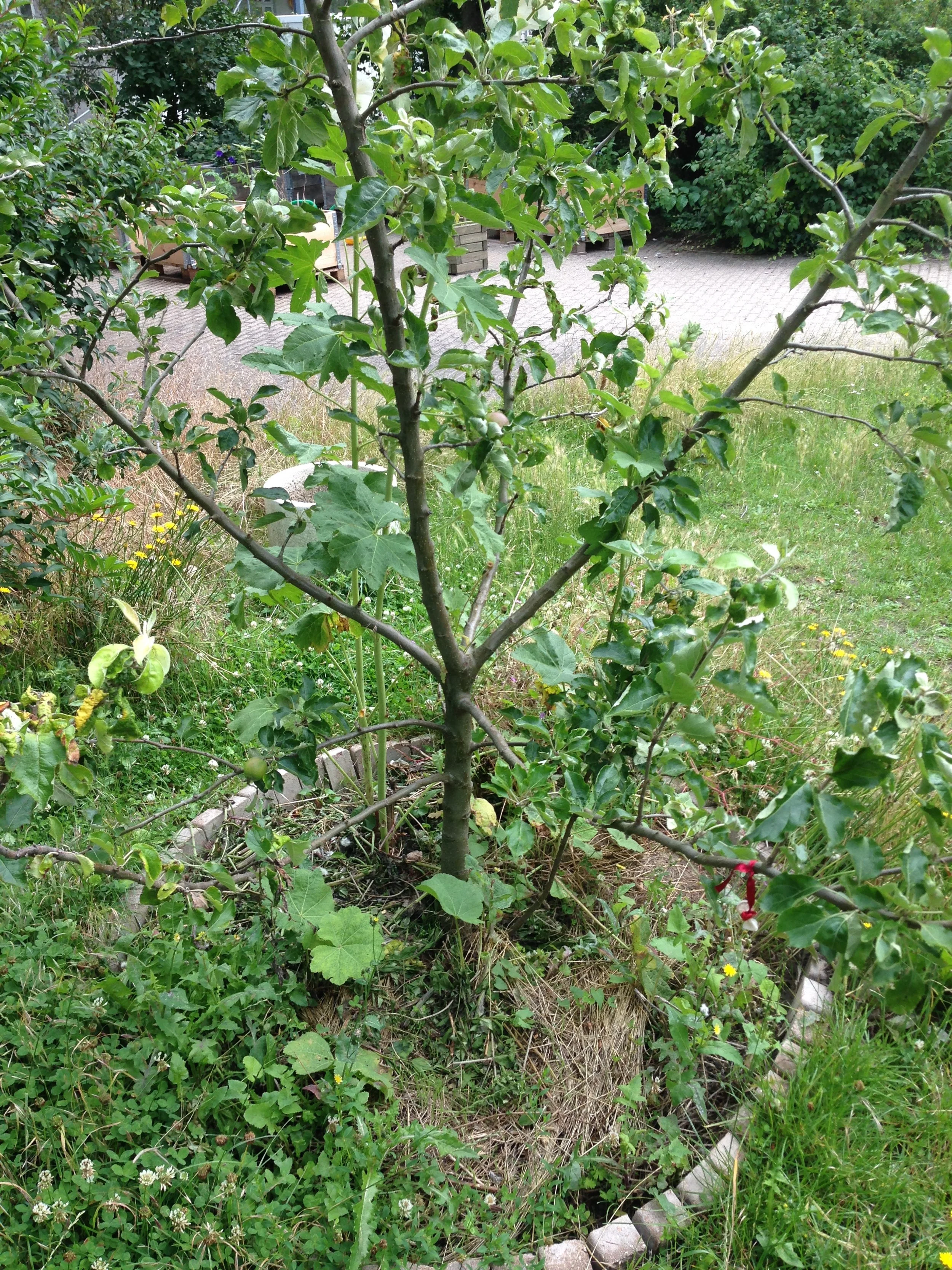 2020-07-09 12.40.35 (1).jpg