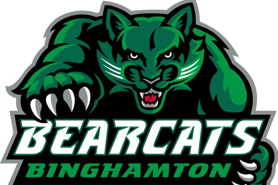 Binghamton University- Naming Rights Valuation