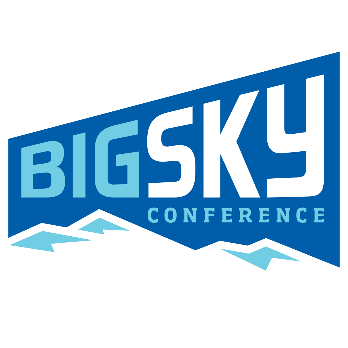 Big Sky Conference-Annual Media Performance Analysis &amp; Advisory