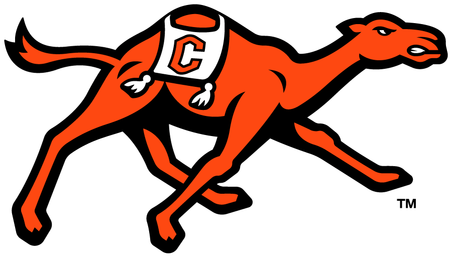 Illustration of a stylized orange and white horse with a saddle, running on a black background.