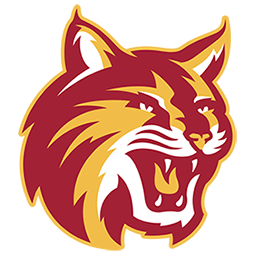 A stylized logo of a wildcat with a fierce expression, primarily in red, gold, and white colors.