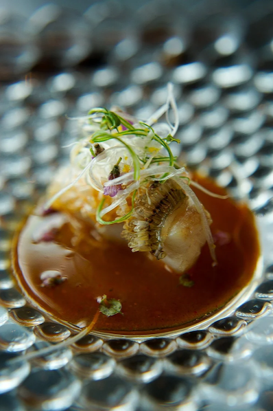 A delicate piece of cooked fish topped with fine garnishes and micro-flowers, served in a rich brown reduction sauce on a textured glass bubble plate.