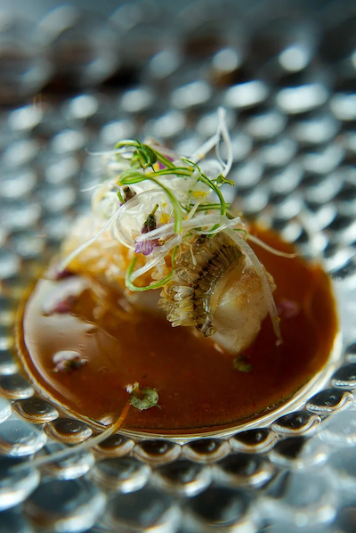 A delicate piece of cooked fish topped with fine garnishes and micro-flowers, served in a rich brown reduction sauce on a textured glass bubble plate.