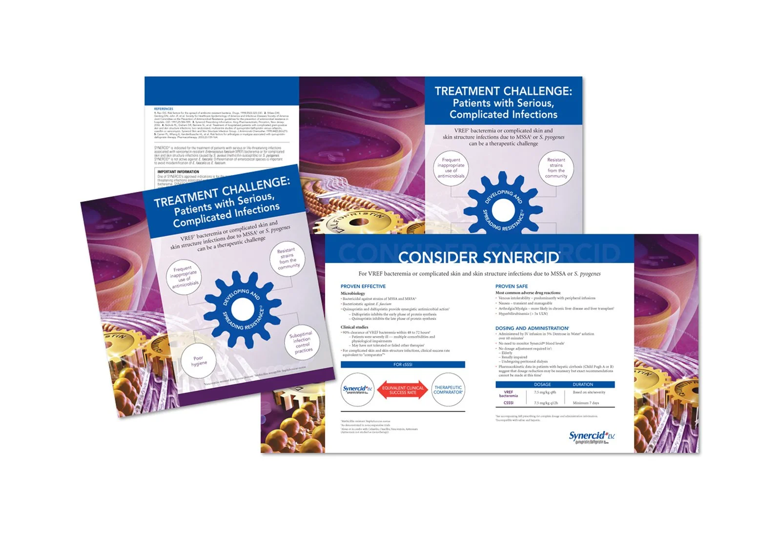 SynercidBrochure_horiz.jpg