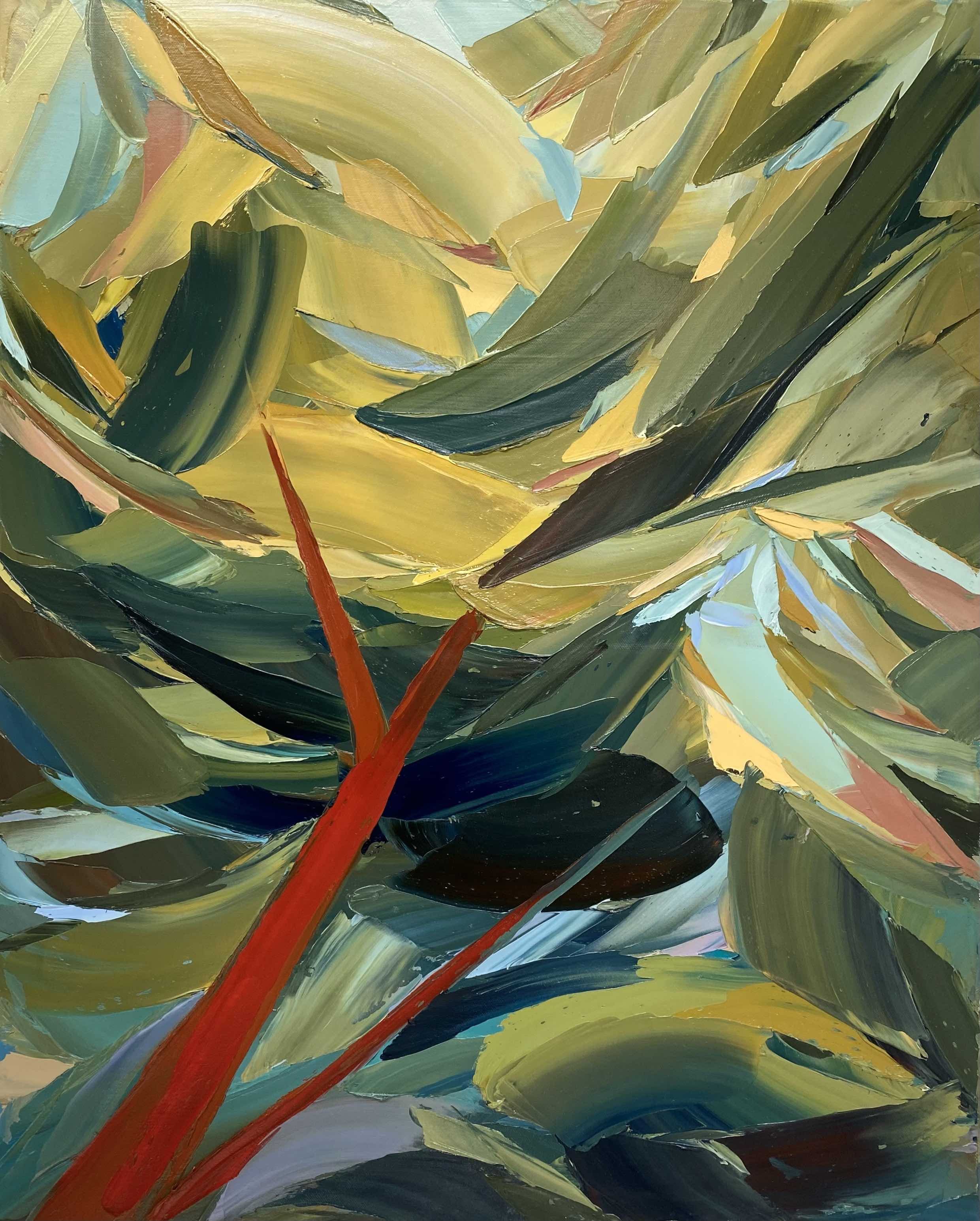 Connor J Doyle_Elevated Fragments.jpg