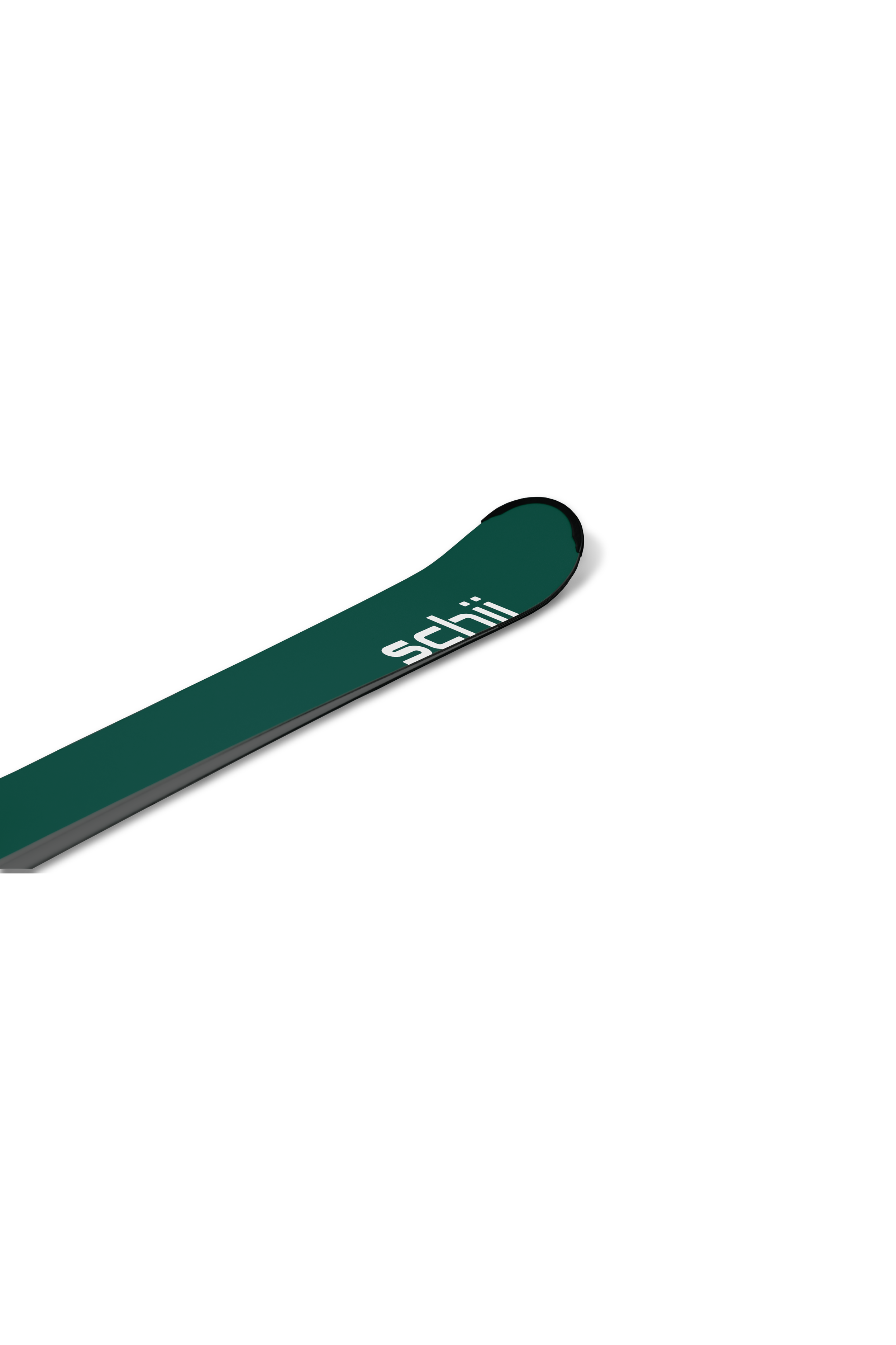 Lohner_front_DSC08754.png