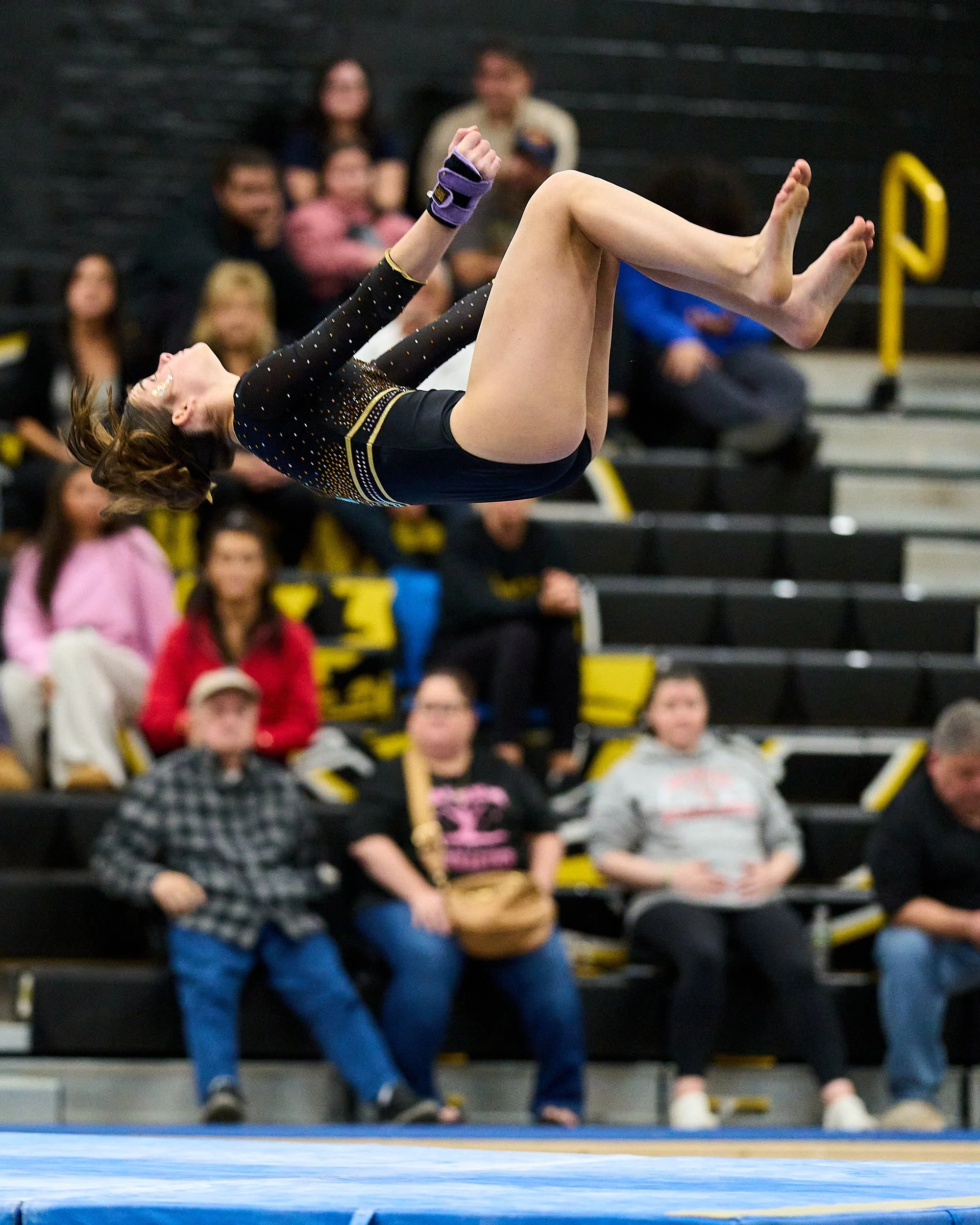 Commack-Northport Varsity Gymnastics vs. Sachem 