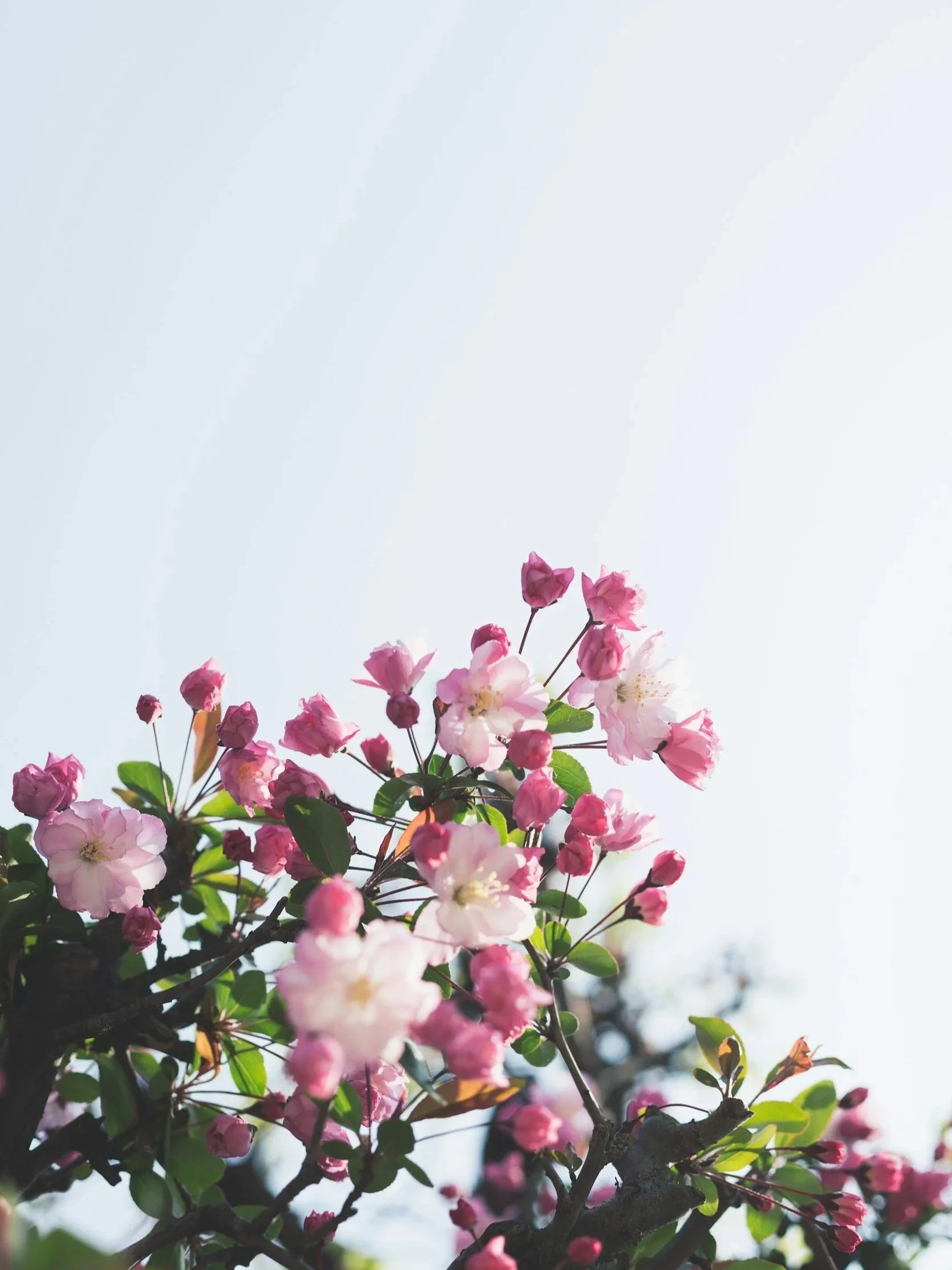 Self-Compassion and Why is it Important?