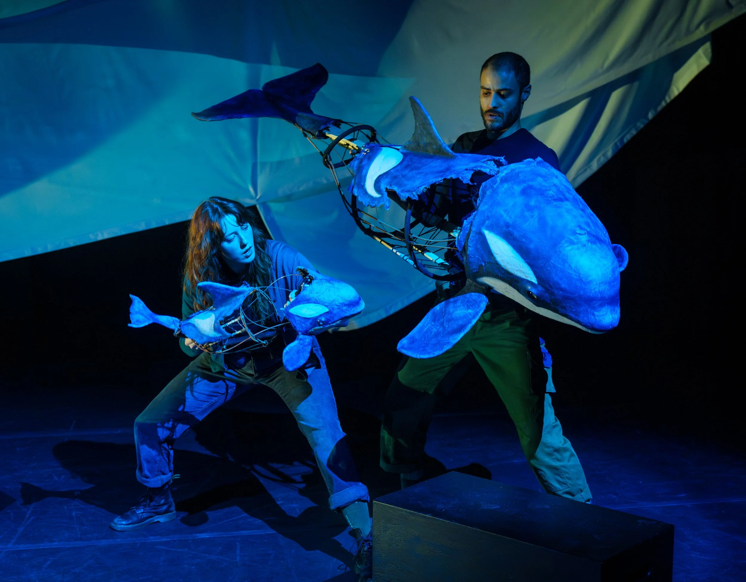 Whalefall - A Story of Beauty, Magic, and Science