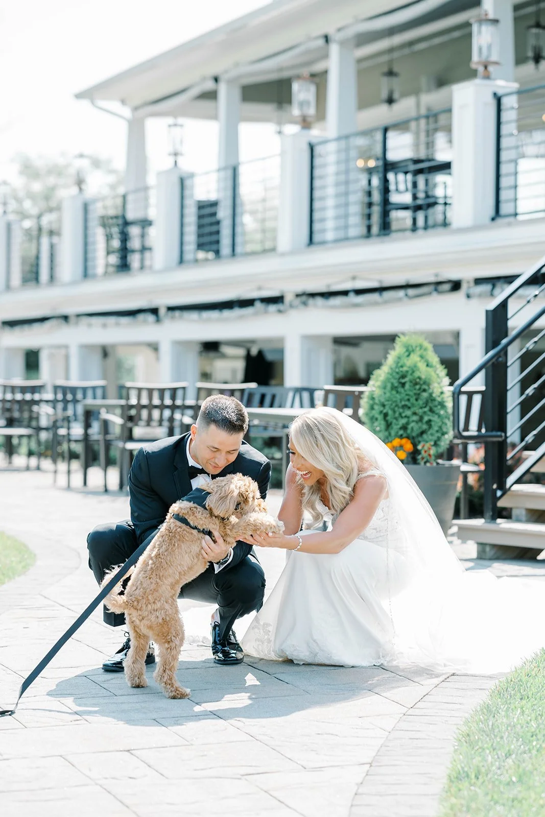 Dog (6).jpg