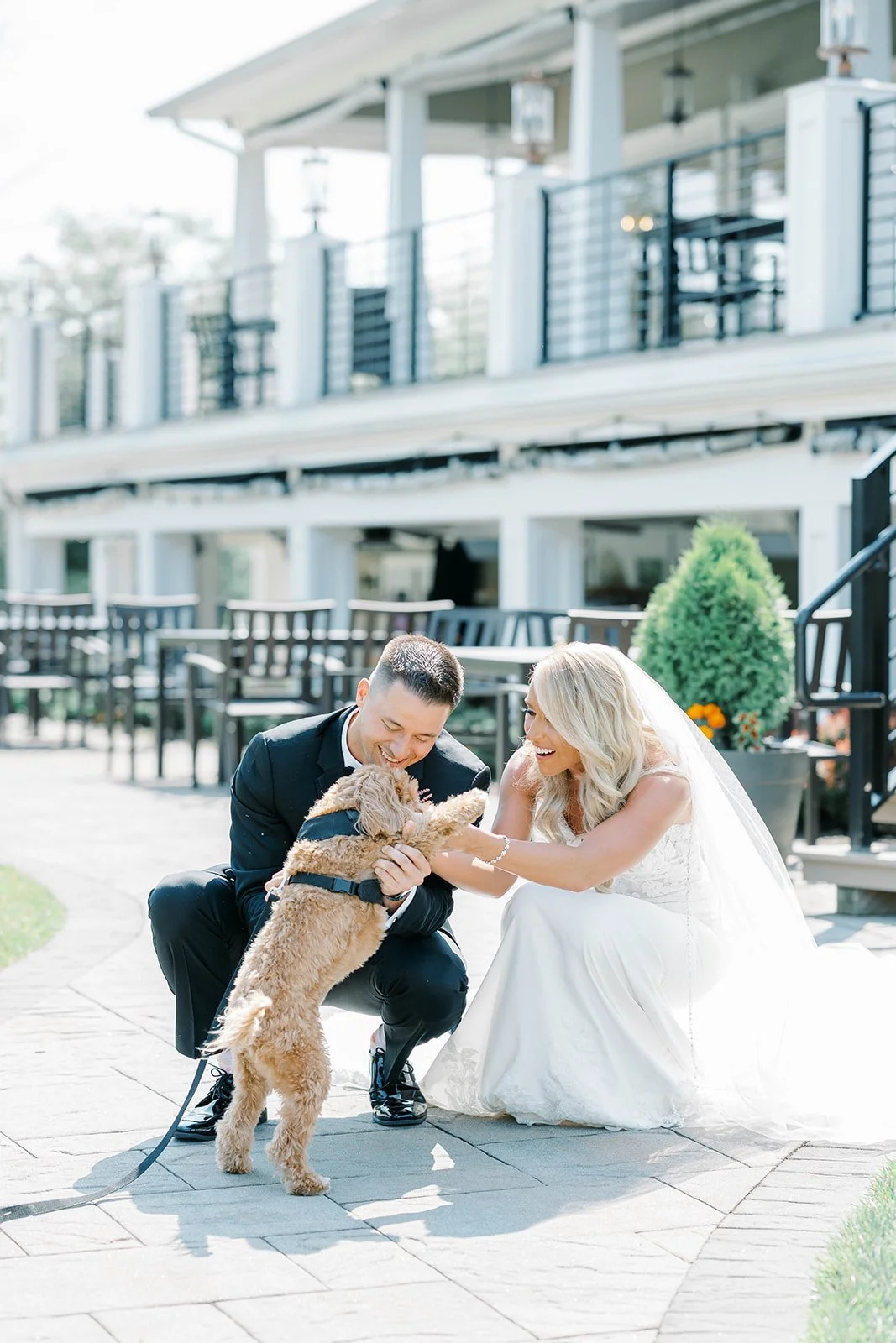 Dog (7).jpg