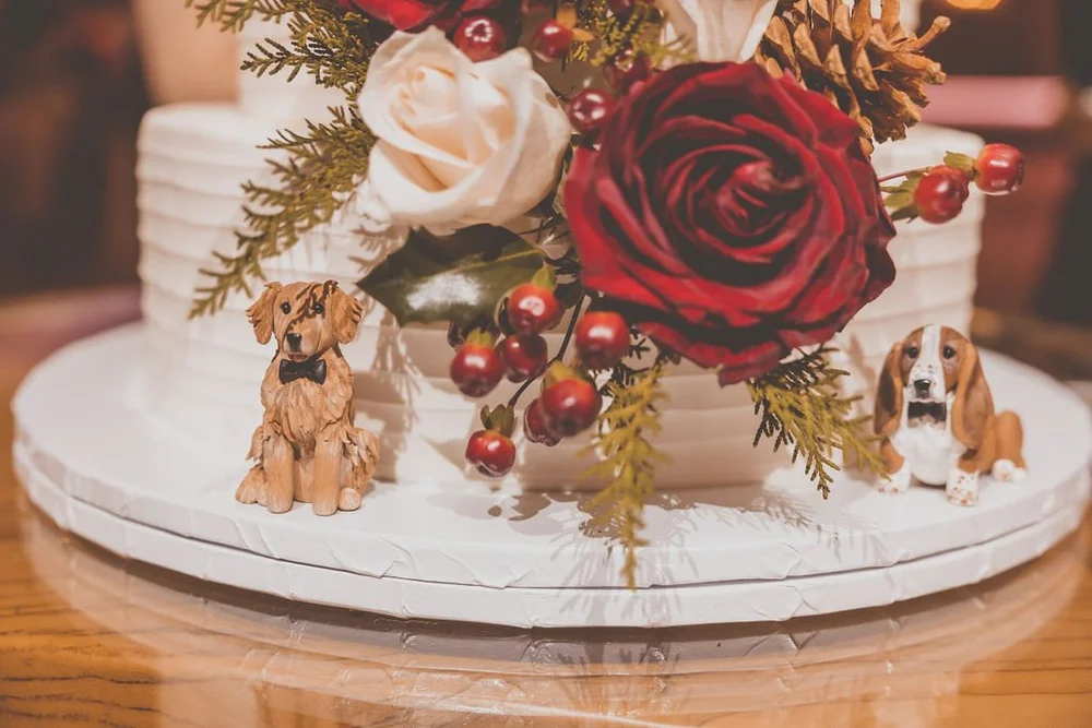 Calandra's Bakery | Fresh New Angle | Pink Dahlia