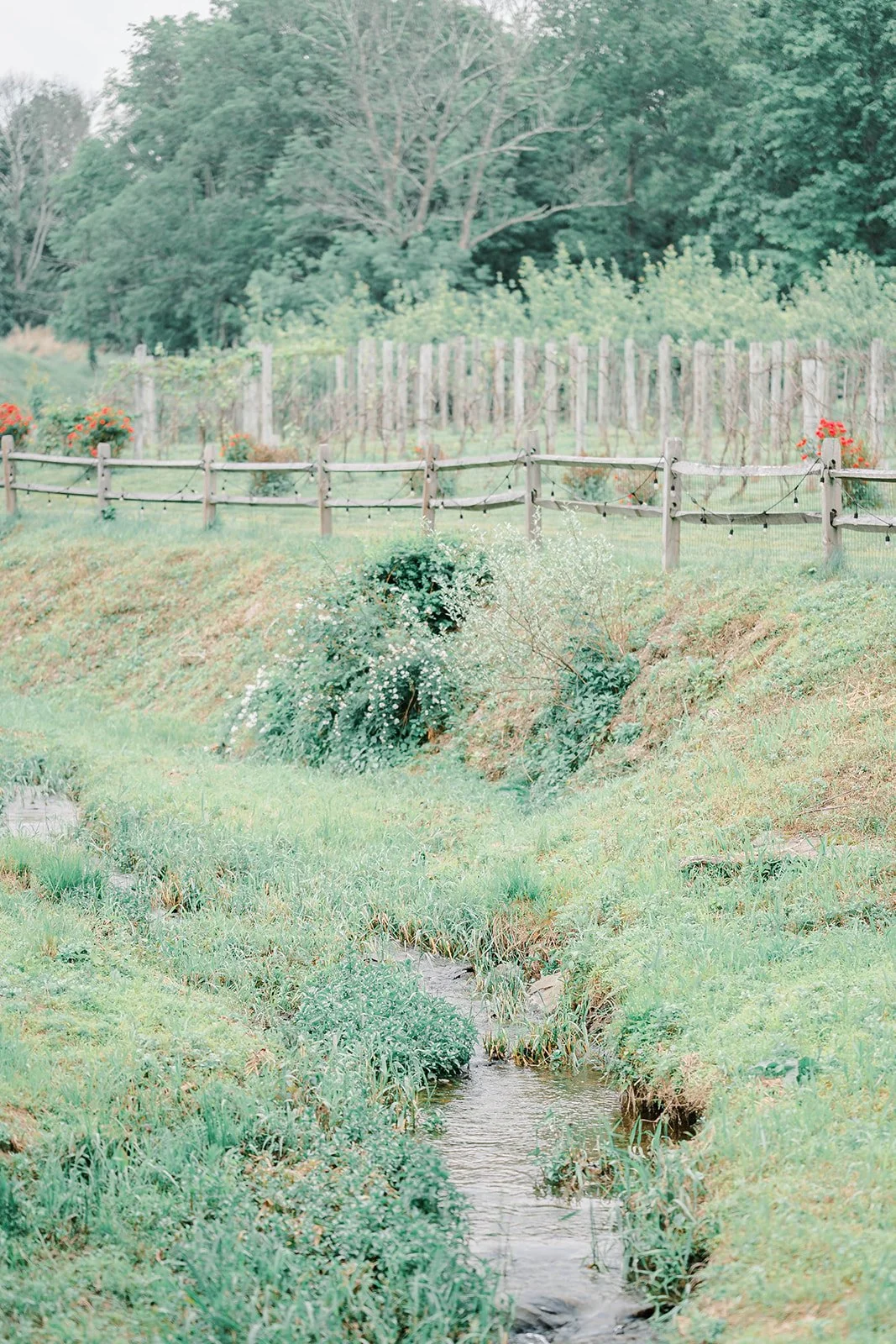 Morgan Taylor Artistry | June 6th