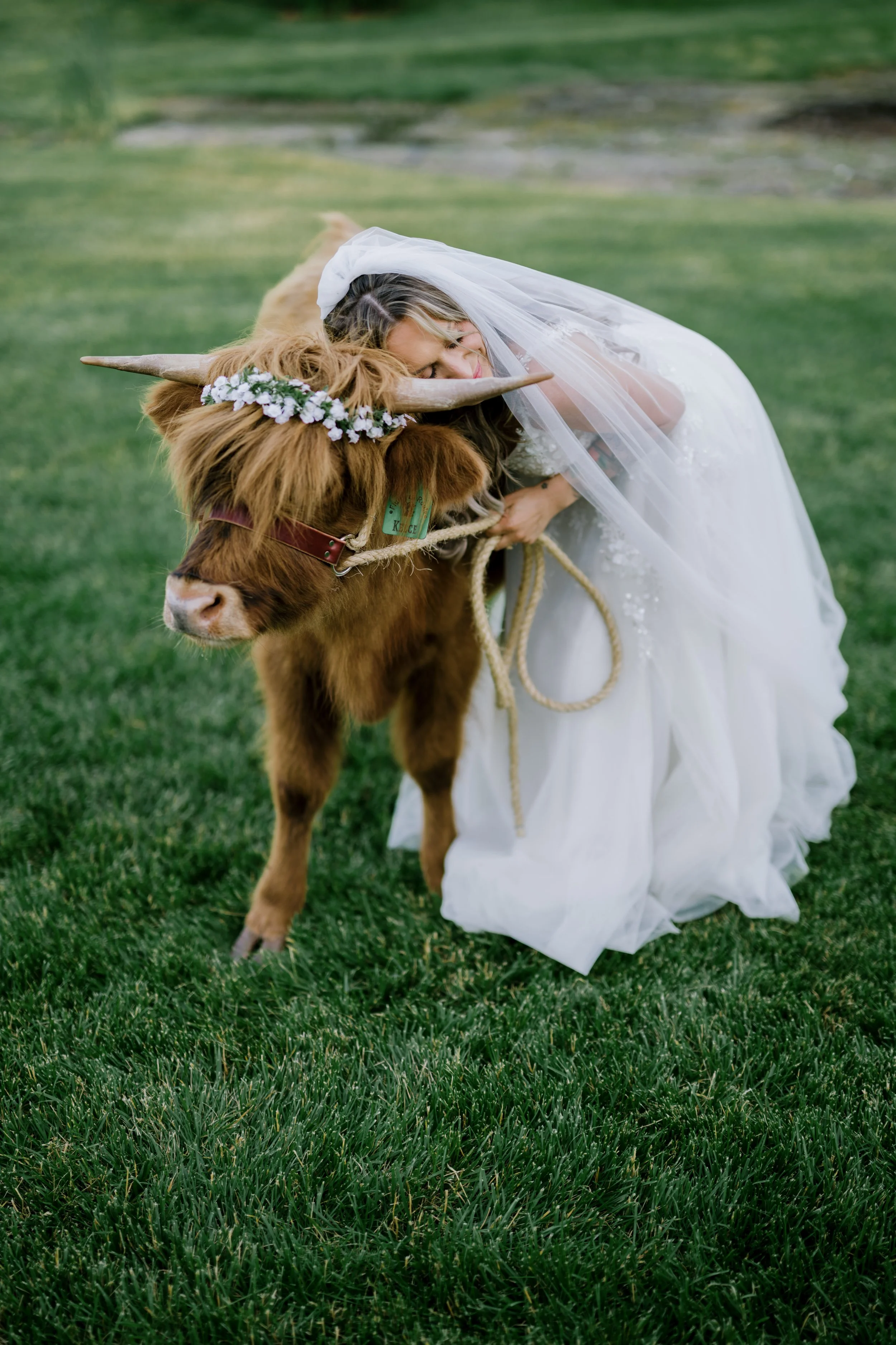 aleksandra-mark-wed-color-542.jpg