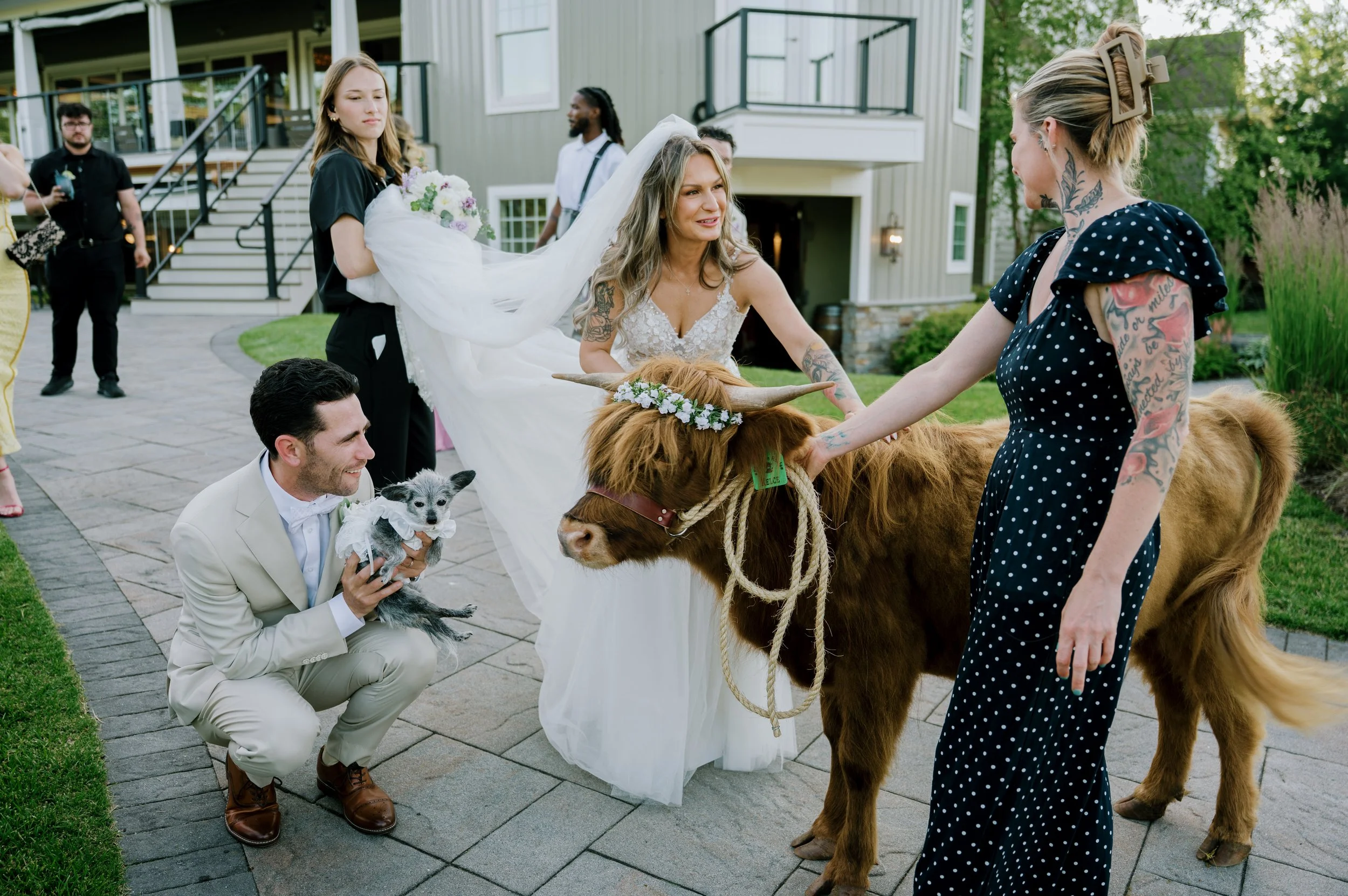 aleksandra-mark-wed-color-490.jpg