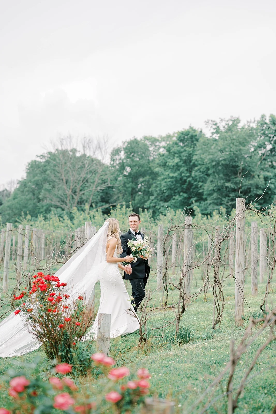 vineyard (2).jpg
