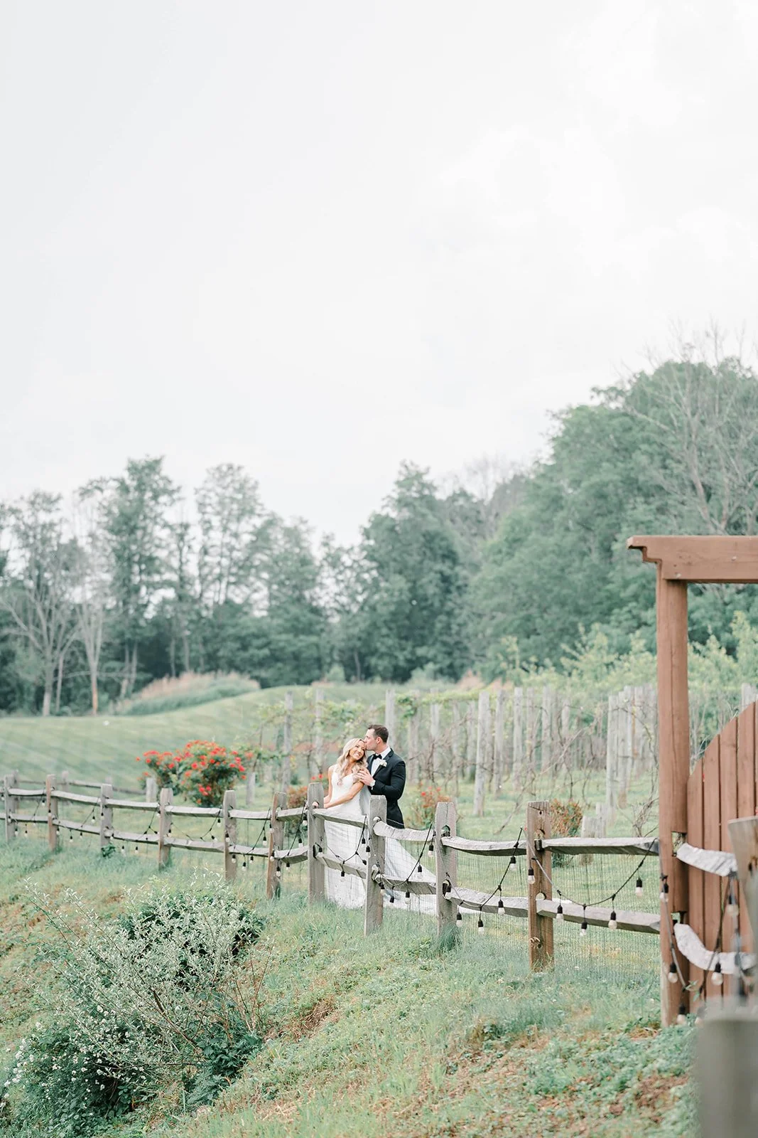 vineyard trail.jpg