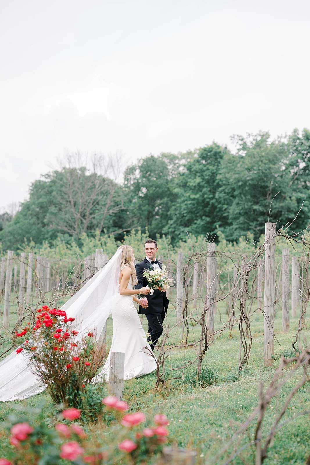 vineyard.jpg