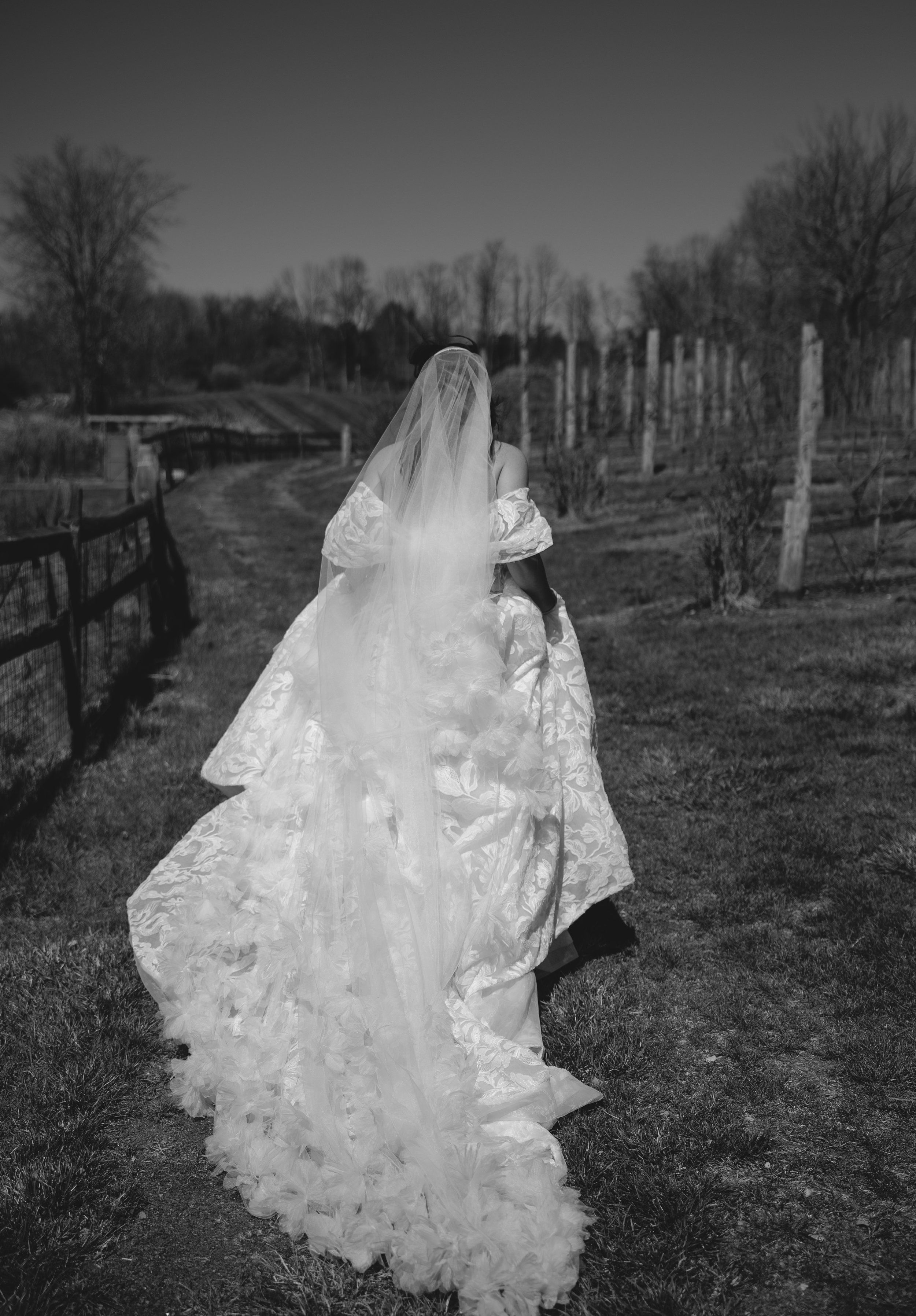 Bear-Brook-Valley-Wedding-61.jpg