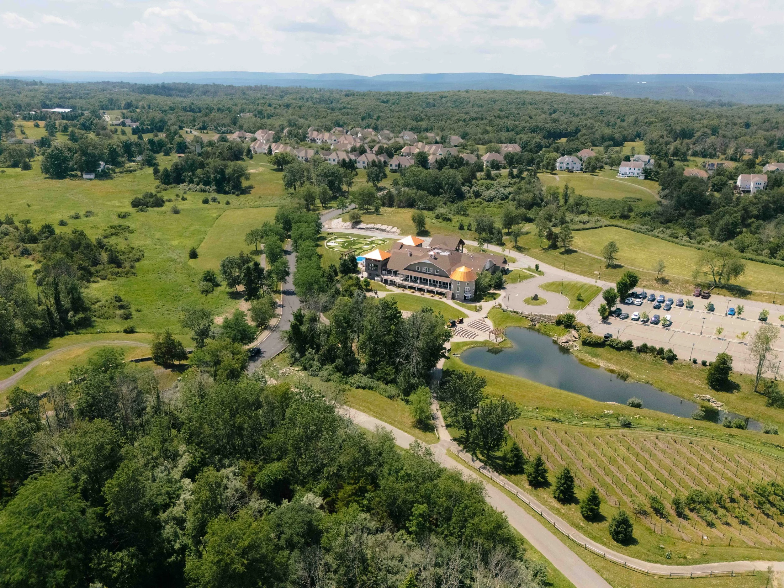 drone, venue, pond, summer, grounds.jpg