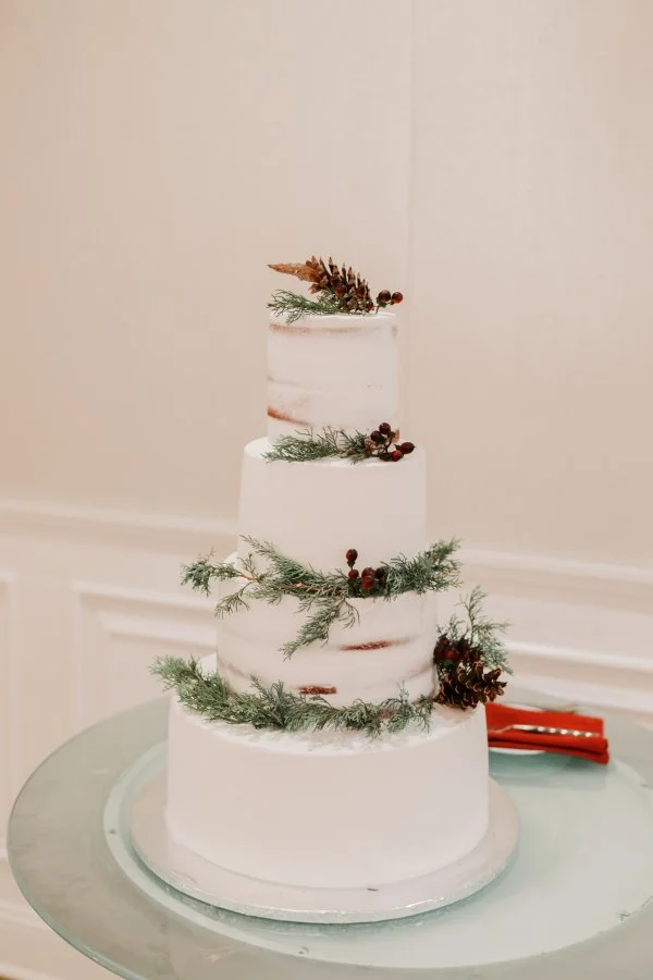 winter cake.jpg