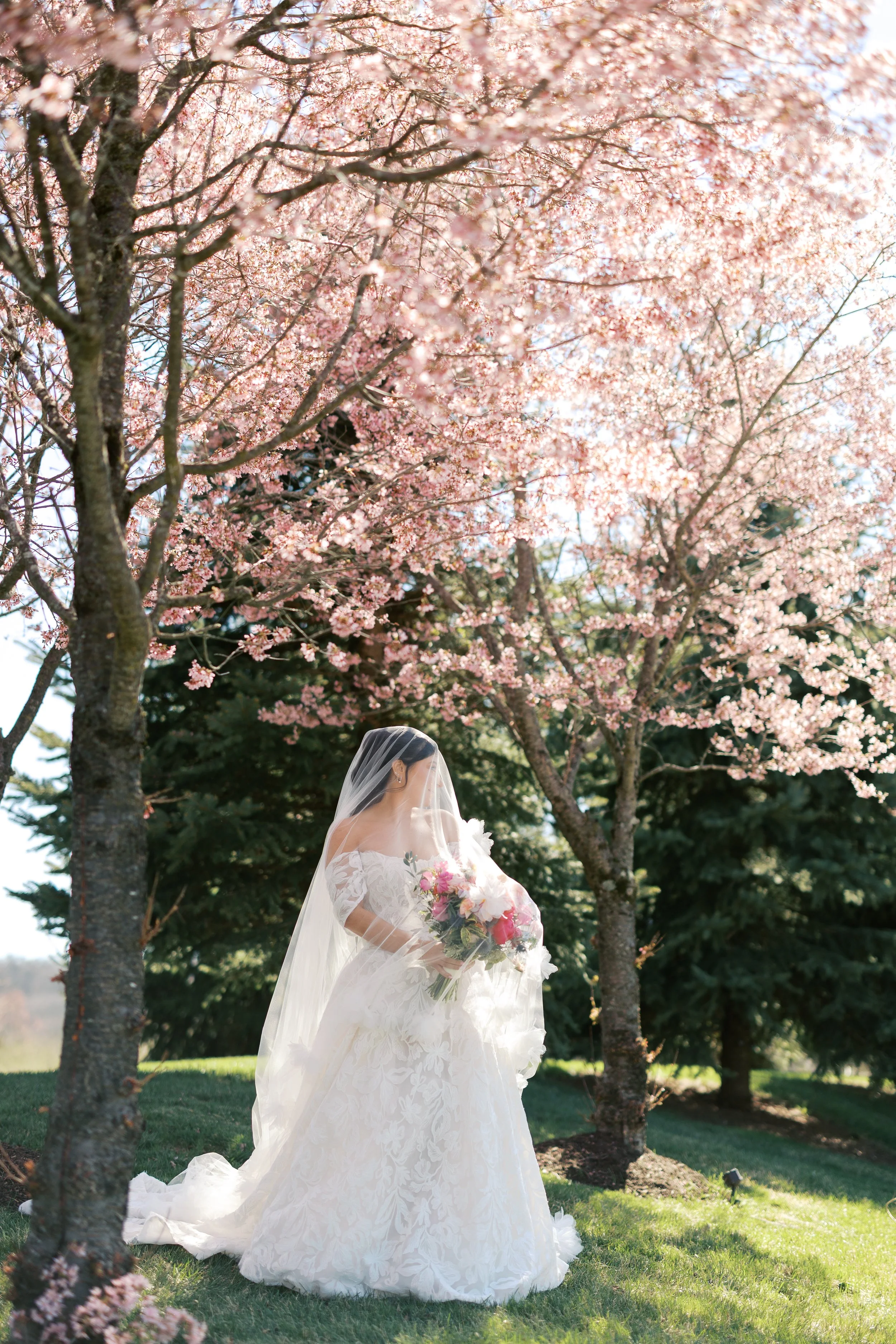 Bear-Brook-Valley-Wedding-214.jpg