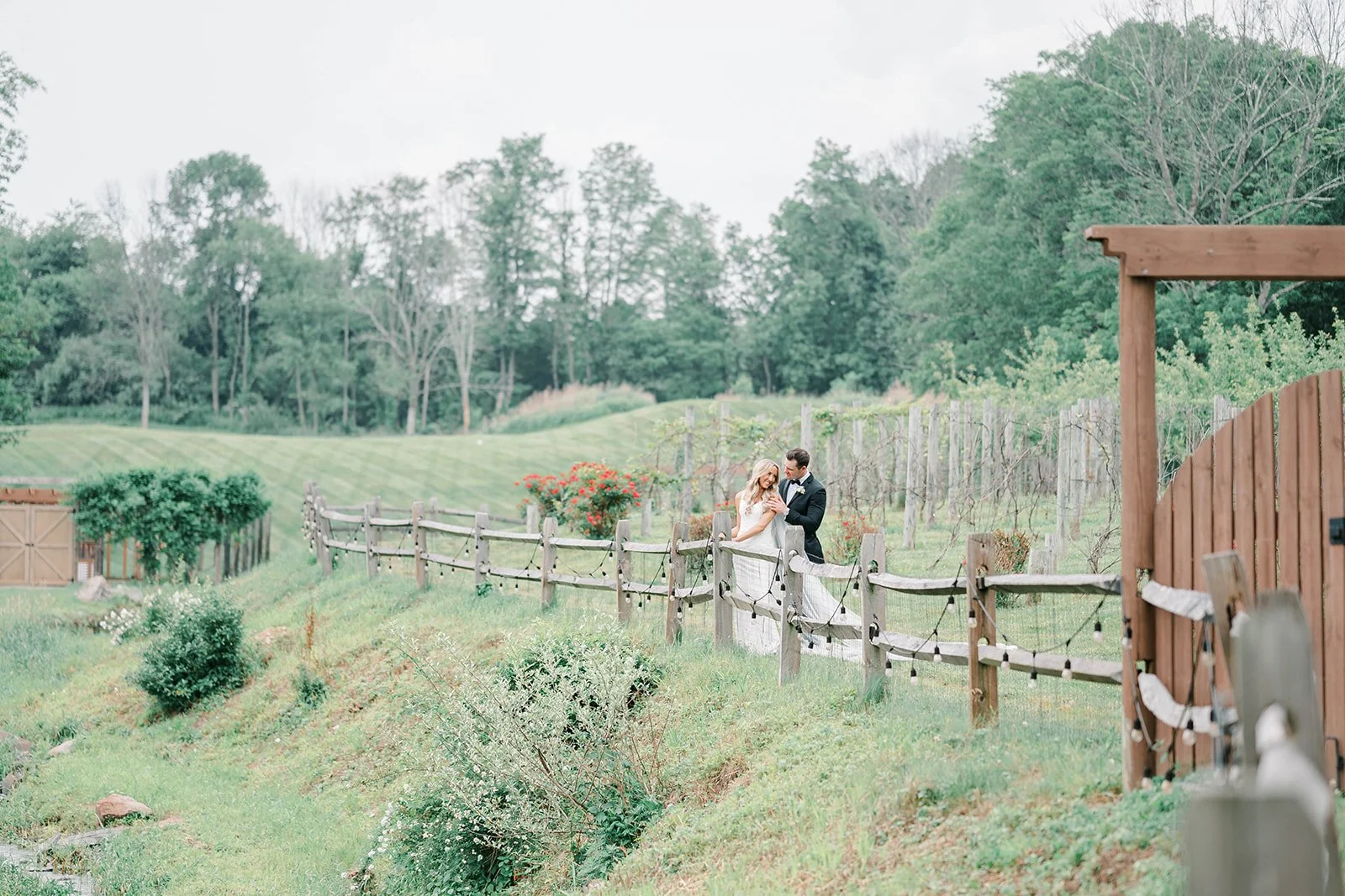 vineyard trail (2).jpg